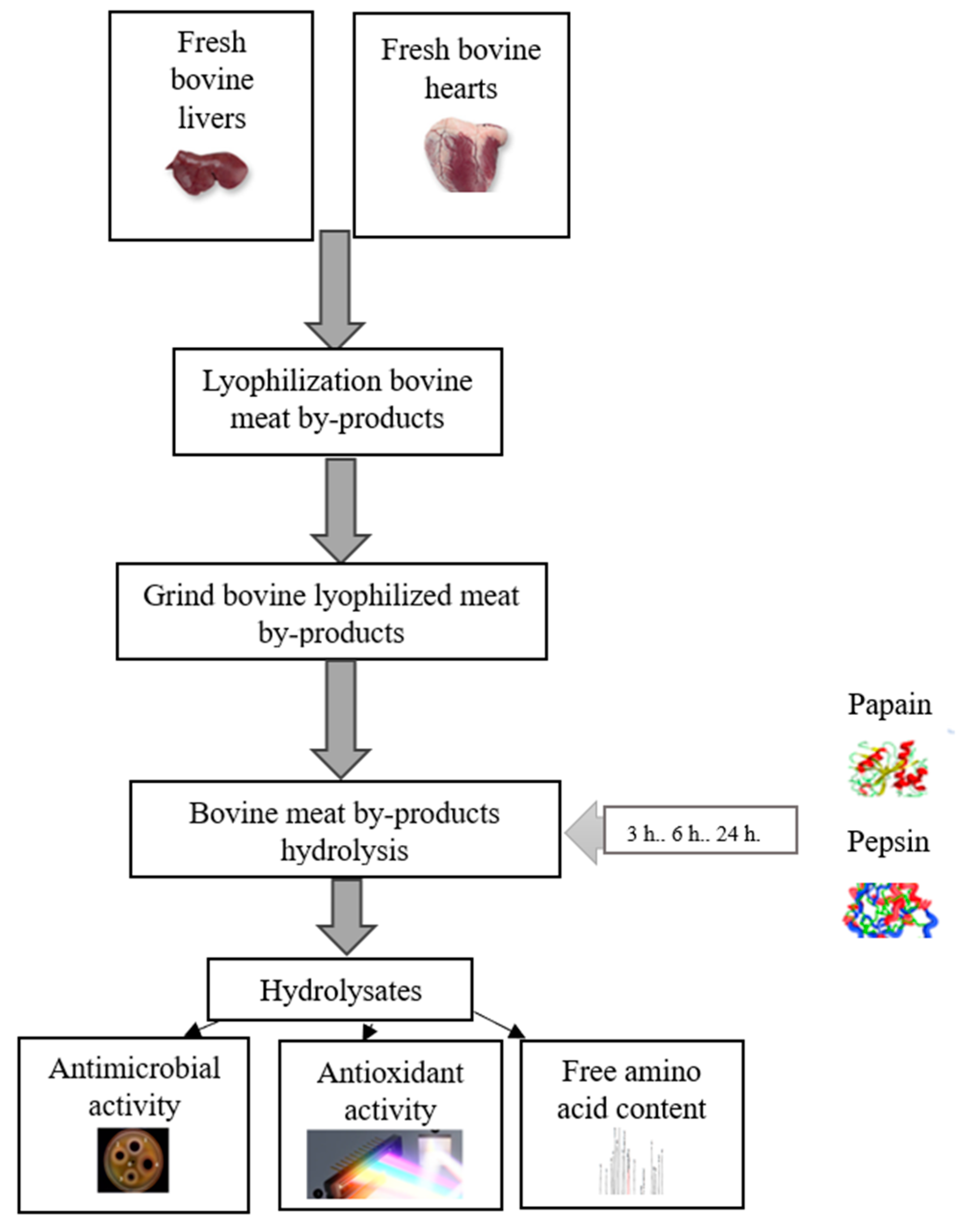 Applsci 13 13142 g001