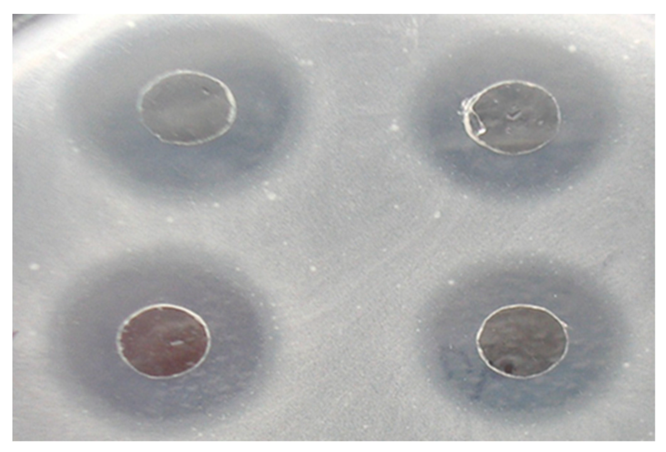 Applsci 13 13142 g003