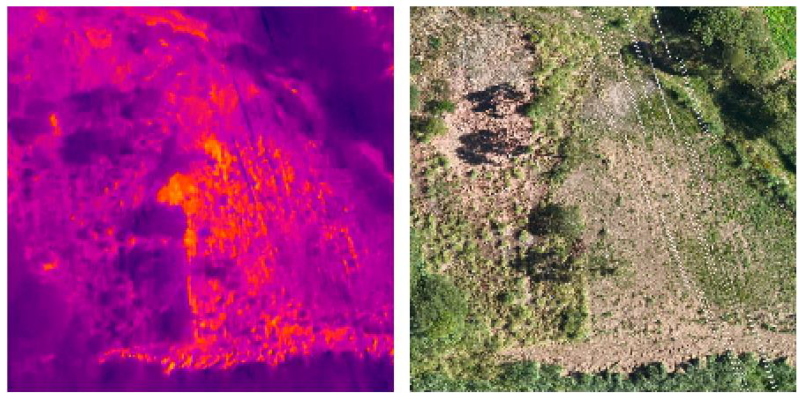 Applsci 13 13164 g013