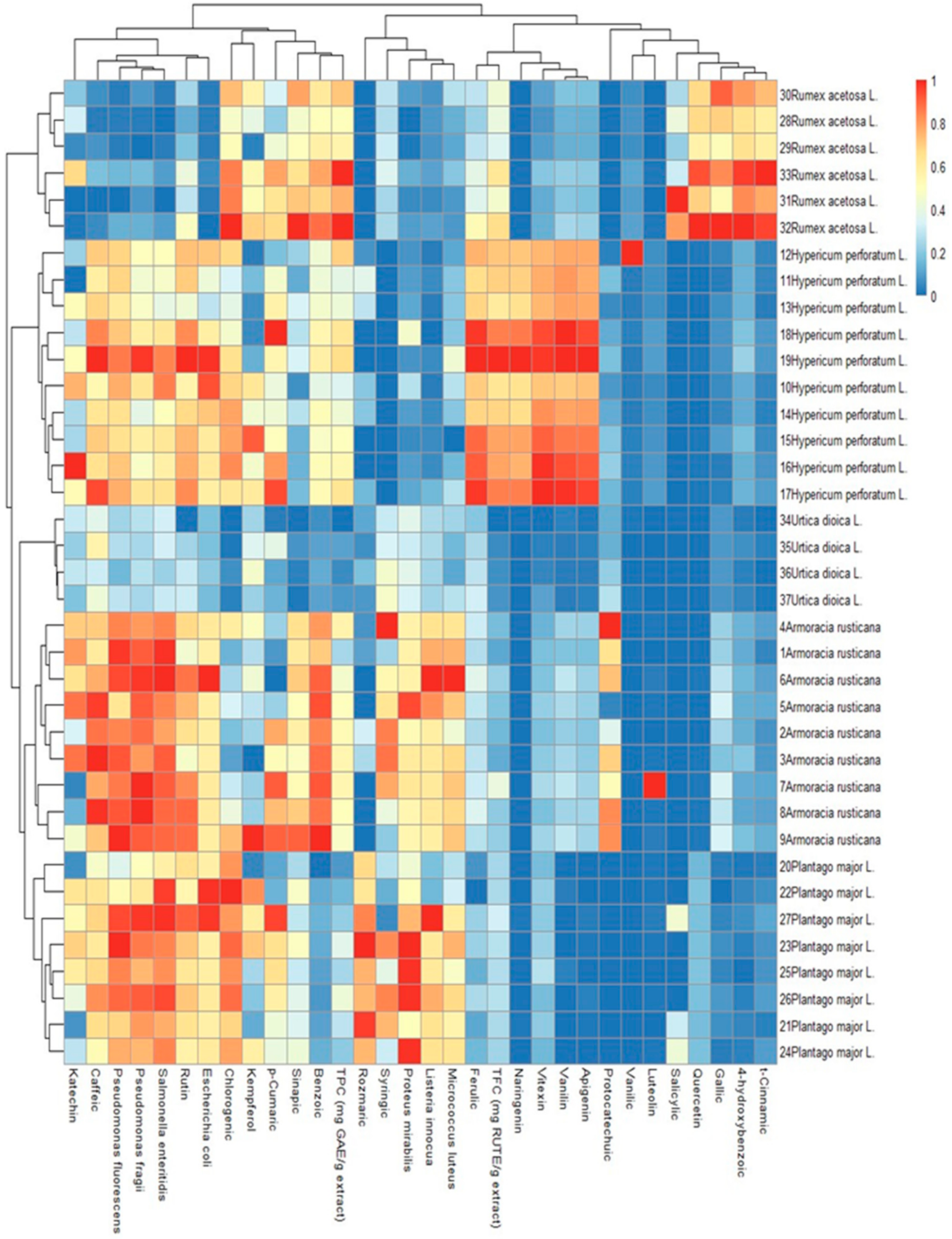 Applsci 13 13196 g004