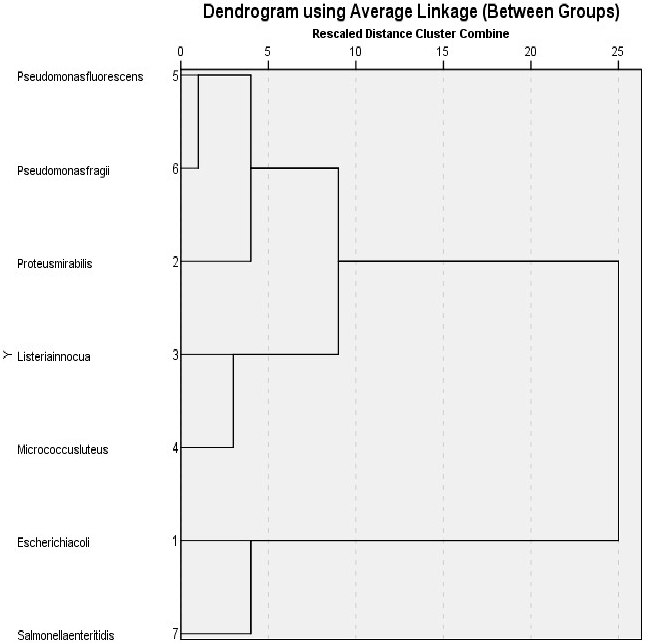 Applsci 13 13196 g008