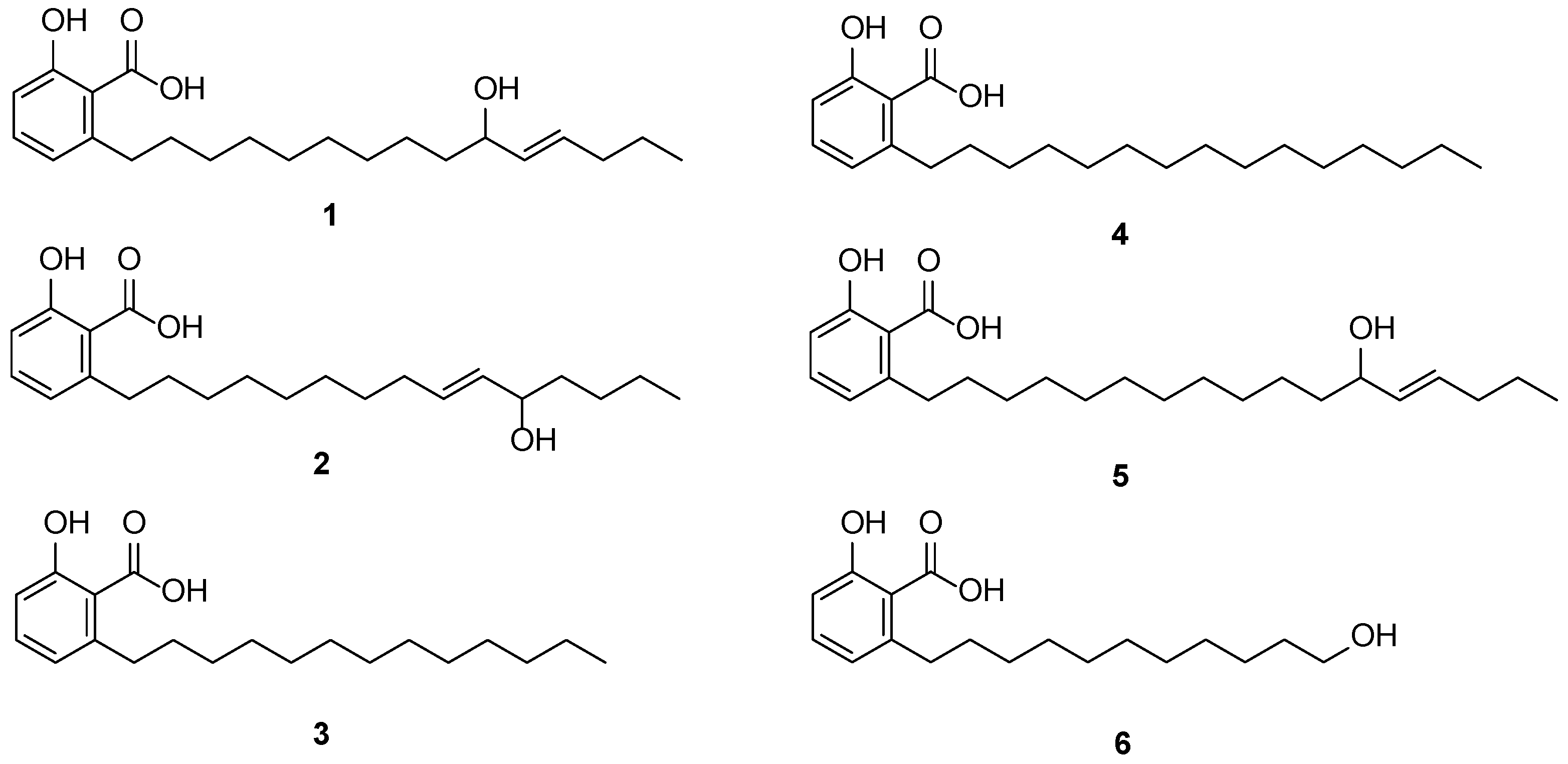 Applsci 13 13220 g002