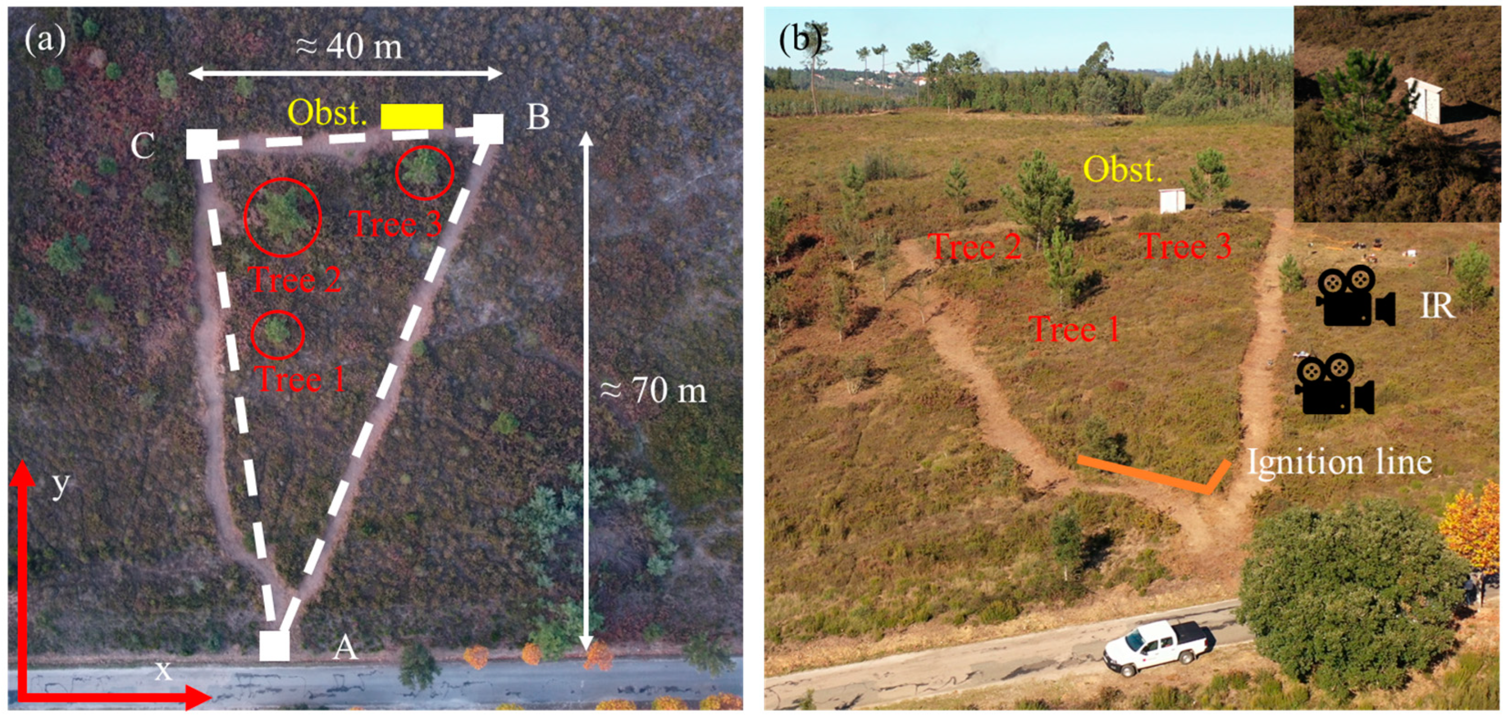 Applsci 13 13236 g001