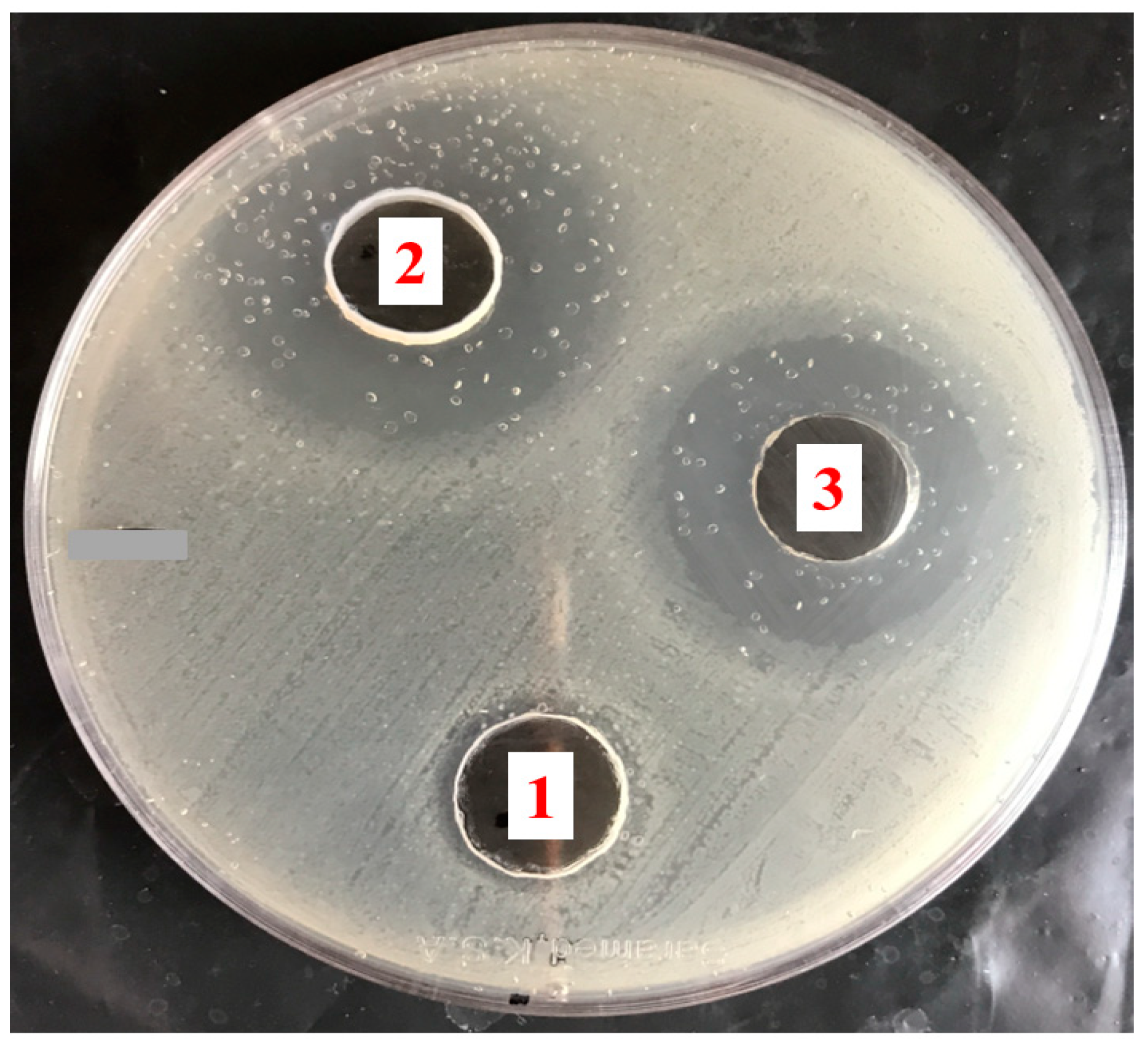 Applsci 13 13244 g011