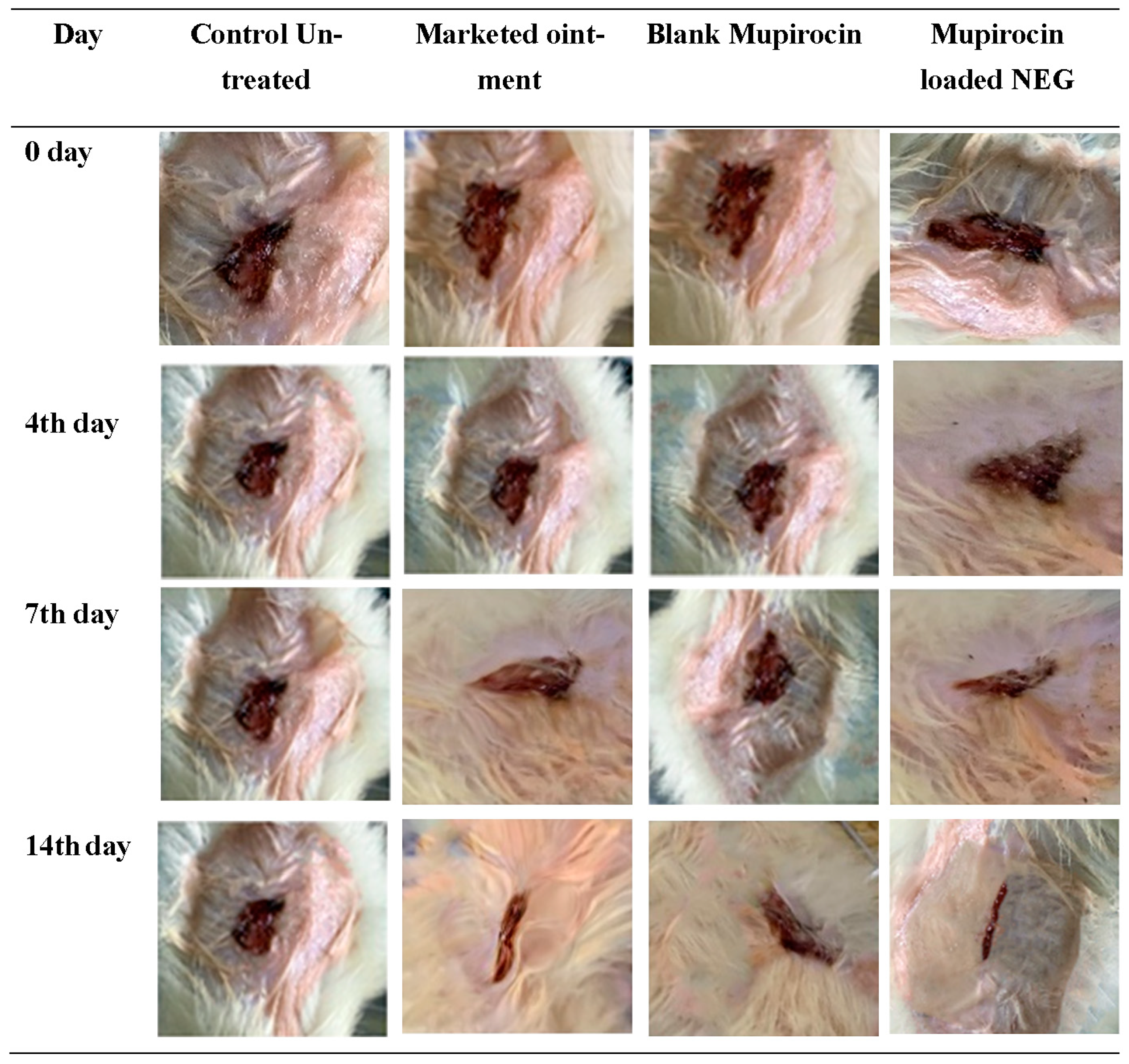 Applsci 13 13244 g012