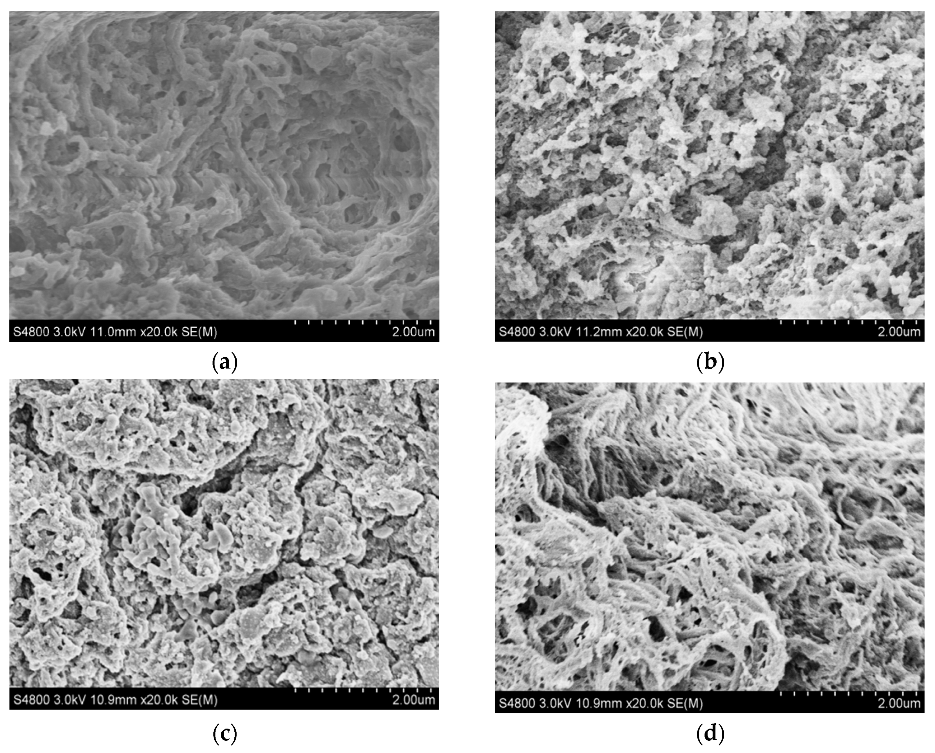 Applsci 13 13247 g008