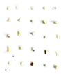 Applsci 13 13287 i006
