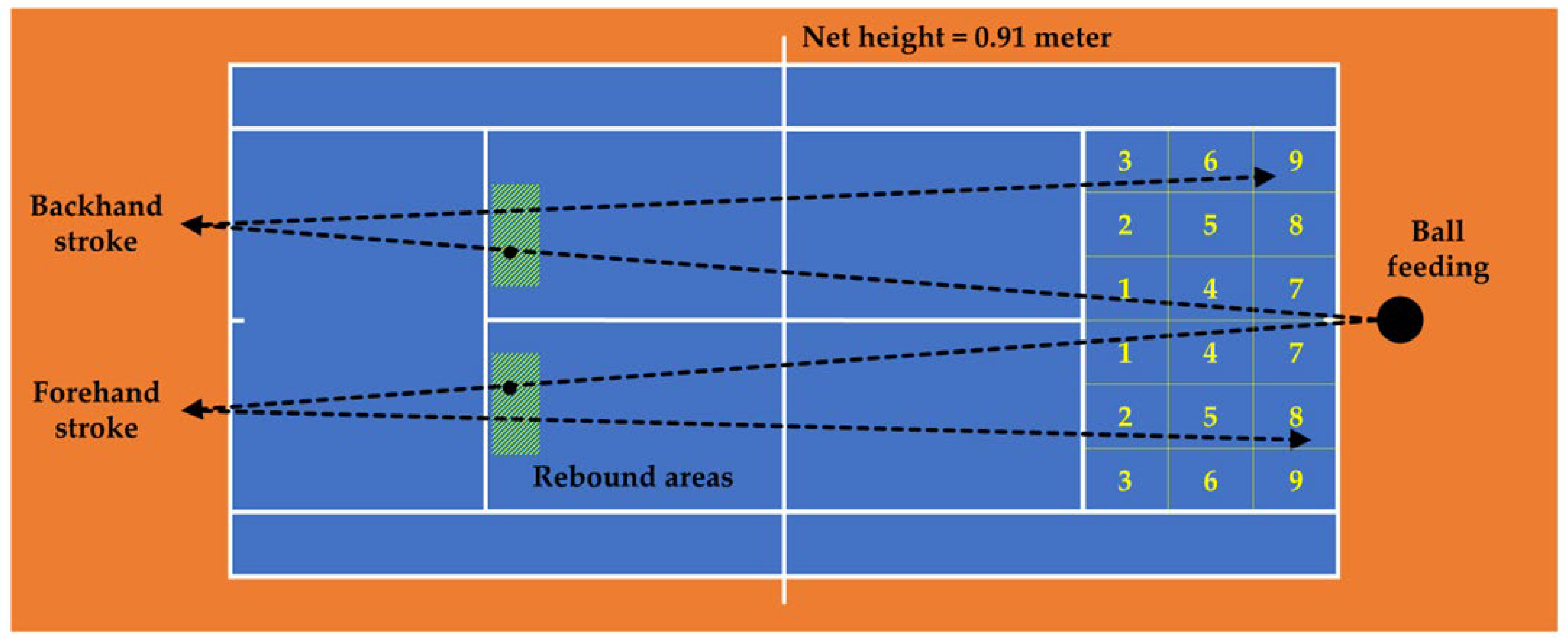 Applsci 13 13290 g002