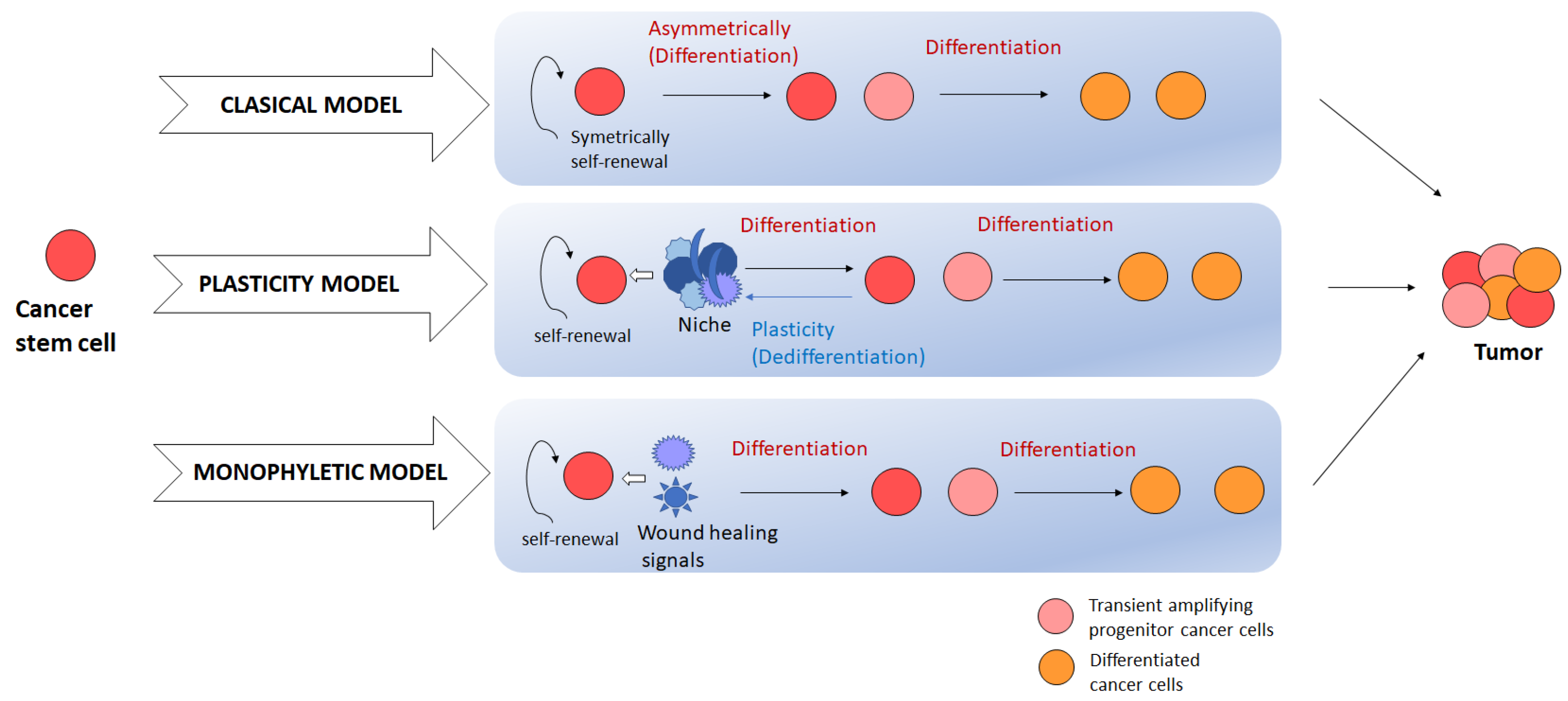 Applsci 13 13293 g001 Applsci 13 13293 g001
