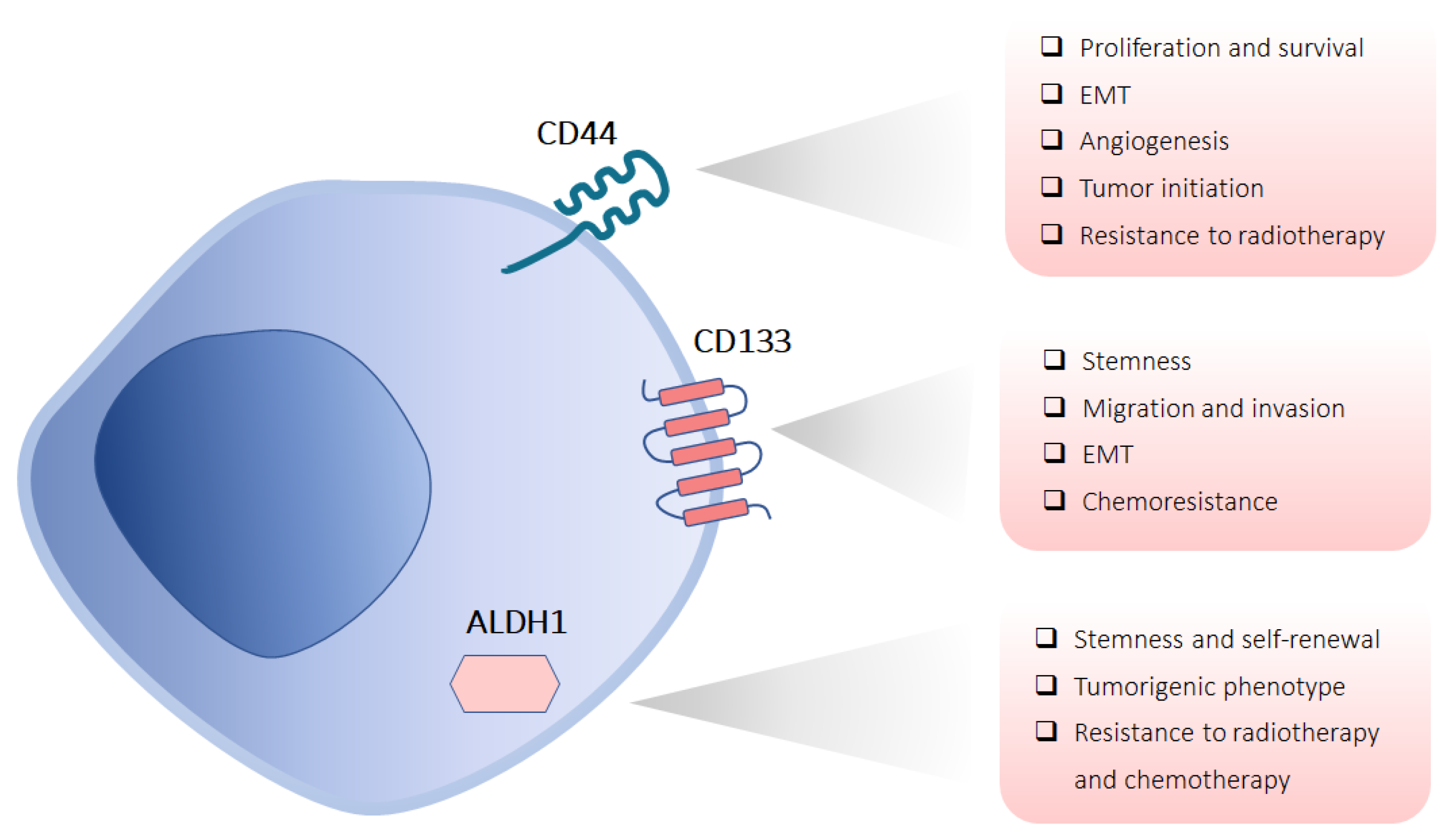 Applsci 13 13293 g002 Applsci 13 13293 g002