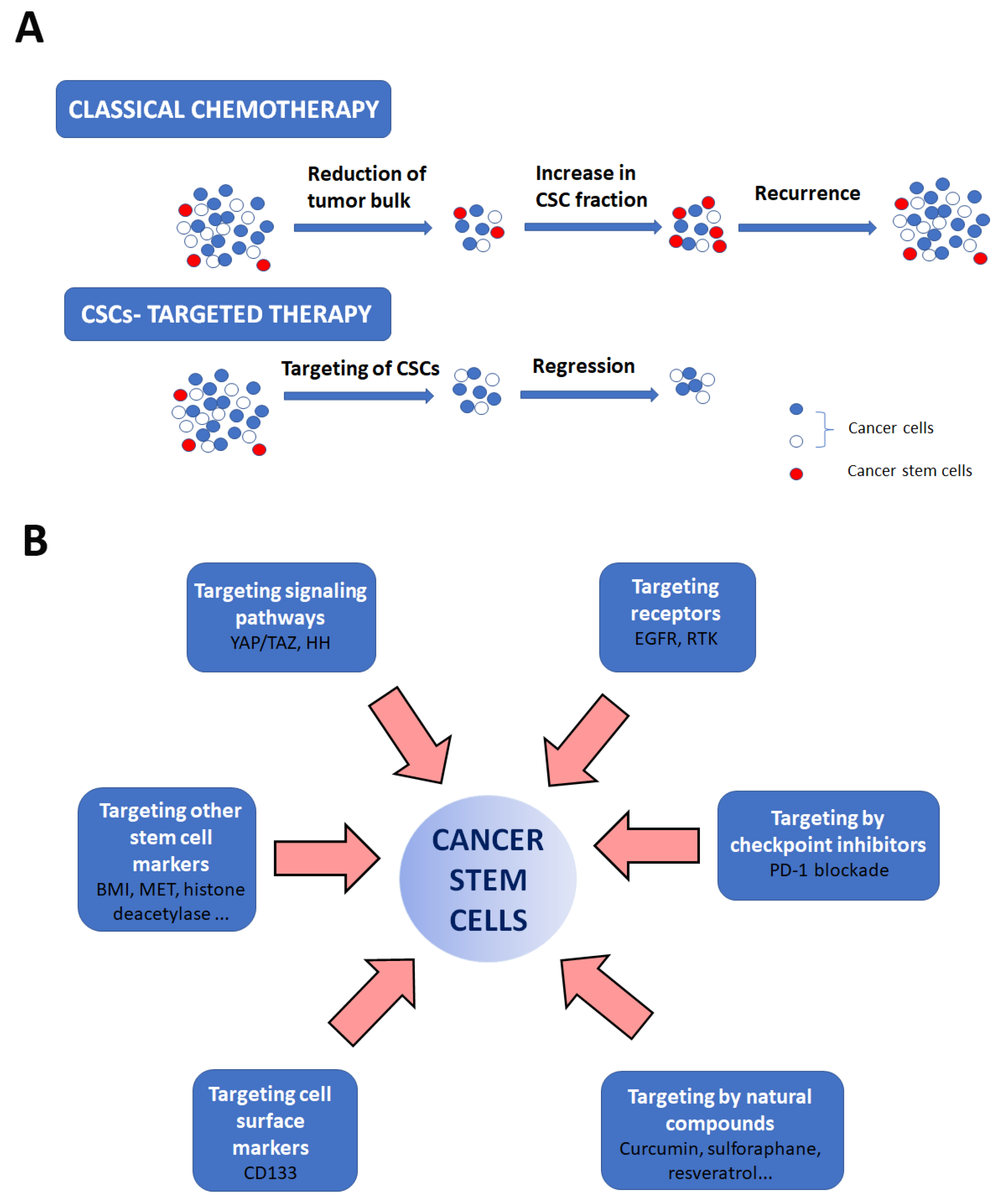 Applsci 13 13293 g003 Applsci 13 13293 g003