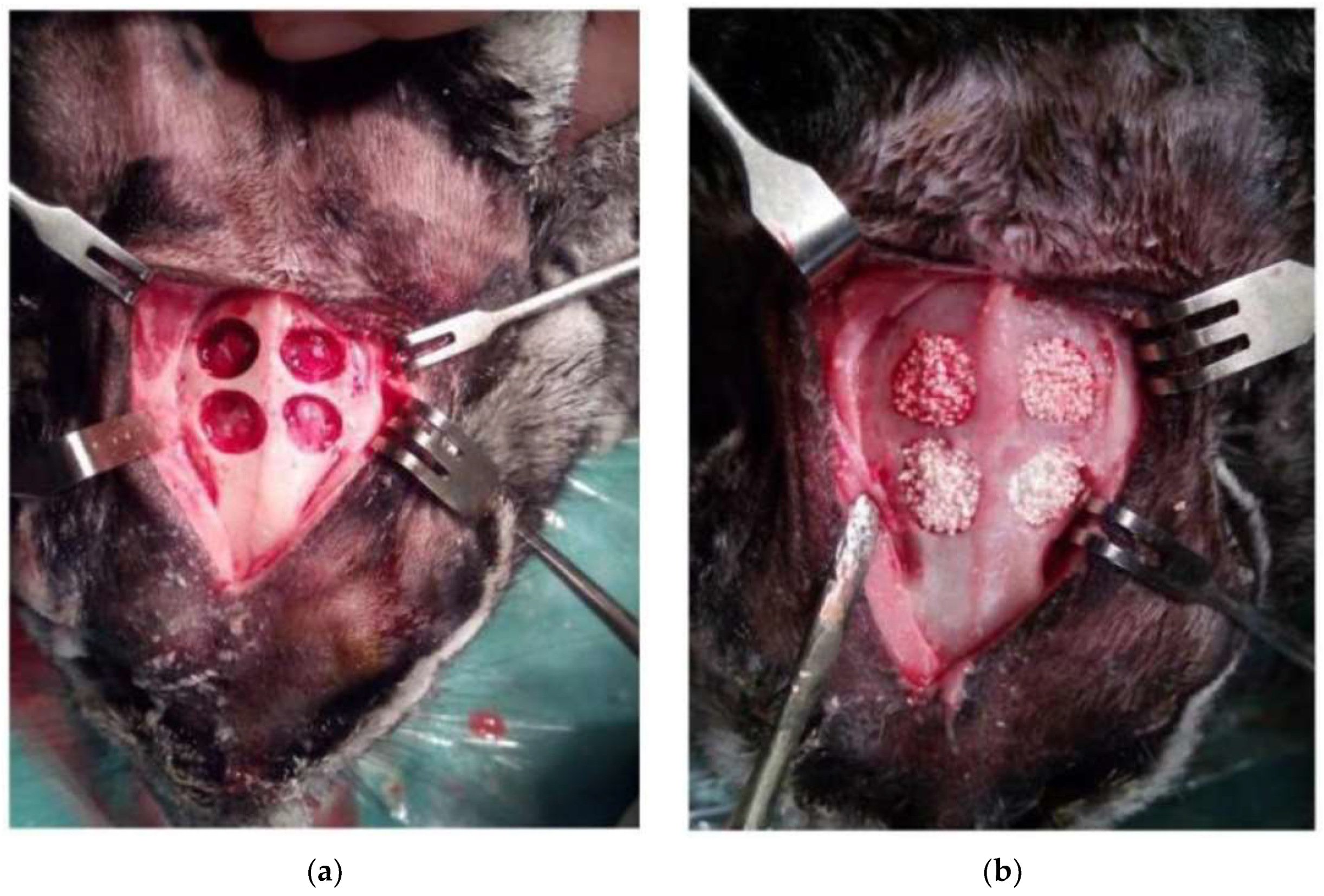 Applsci 14 00016 g002