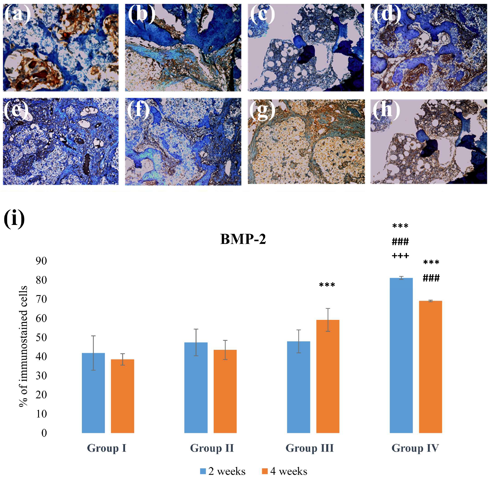 Applsci 14 00016 g003