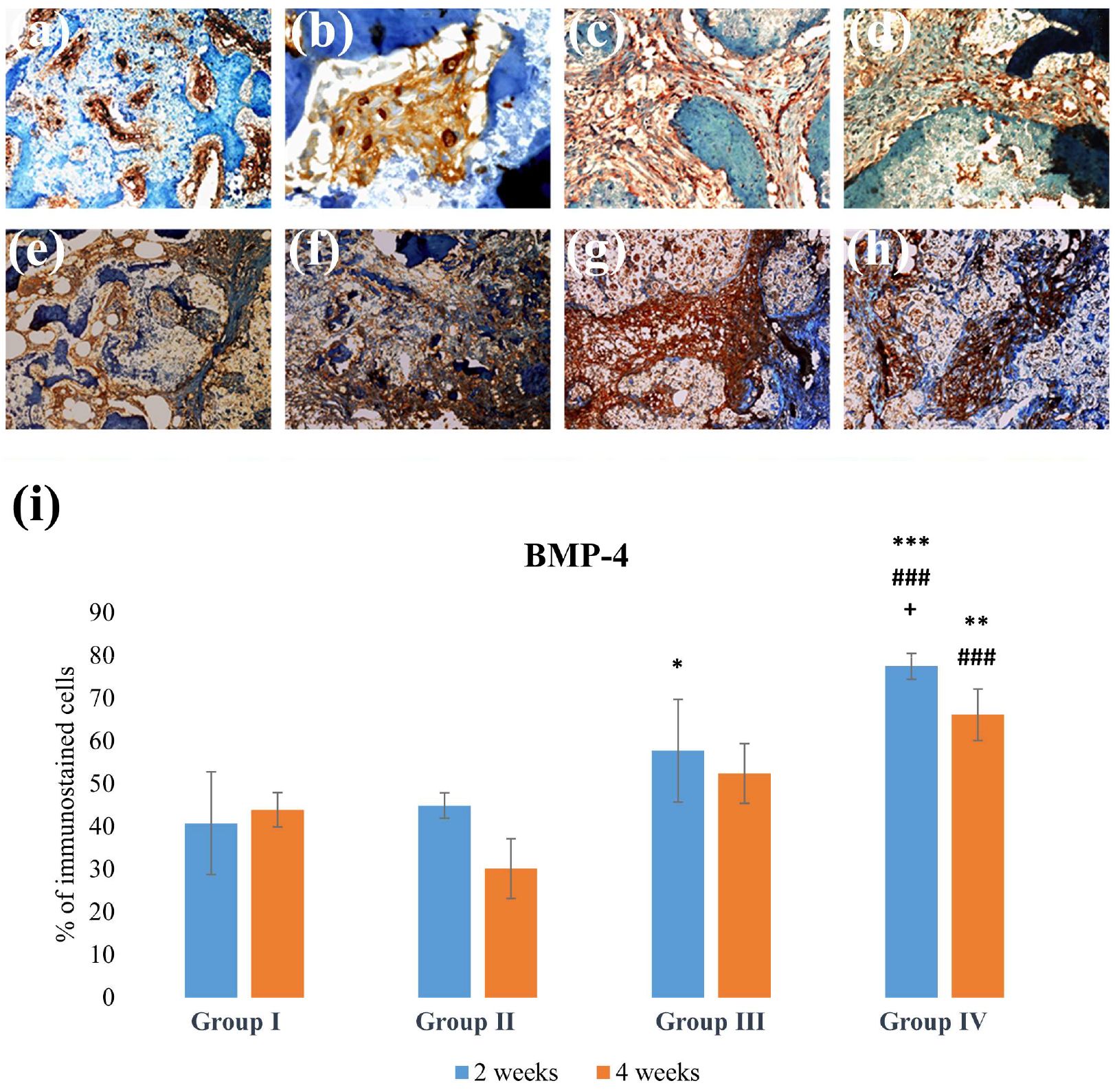 Applsci 14 00016 g004