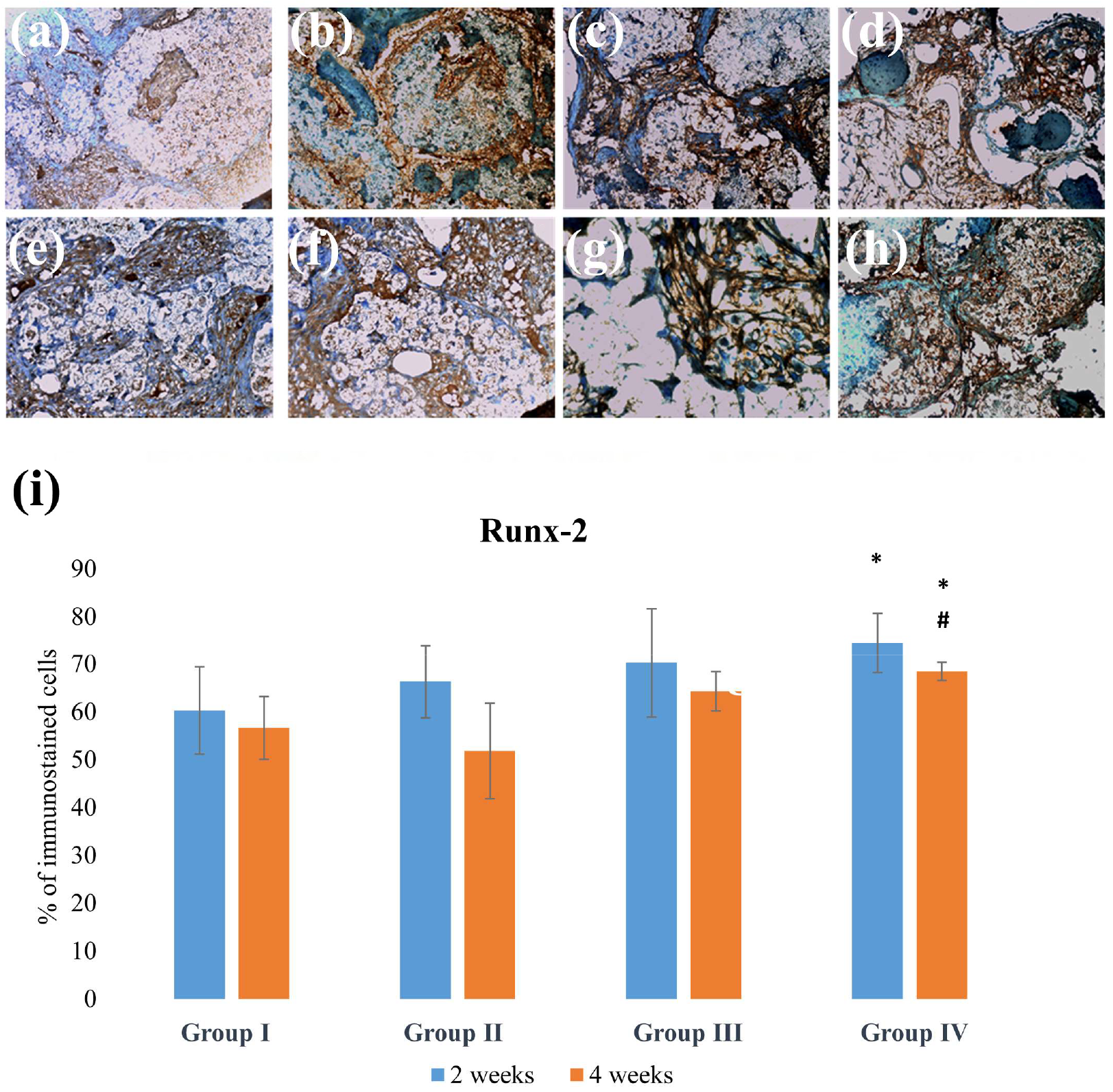 Applsci 14 00016 g005