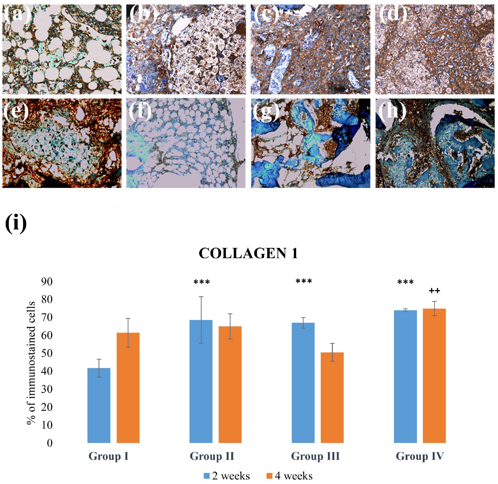 Applsci 14 00016 g006