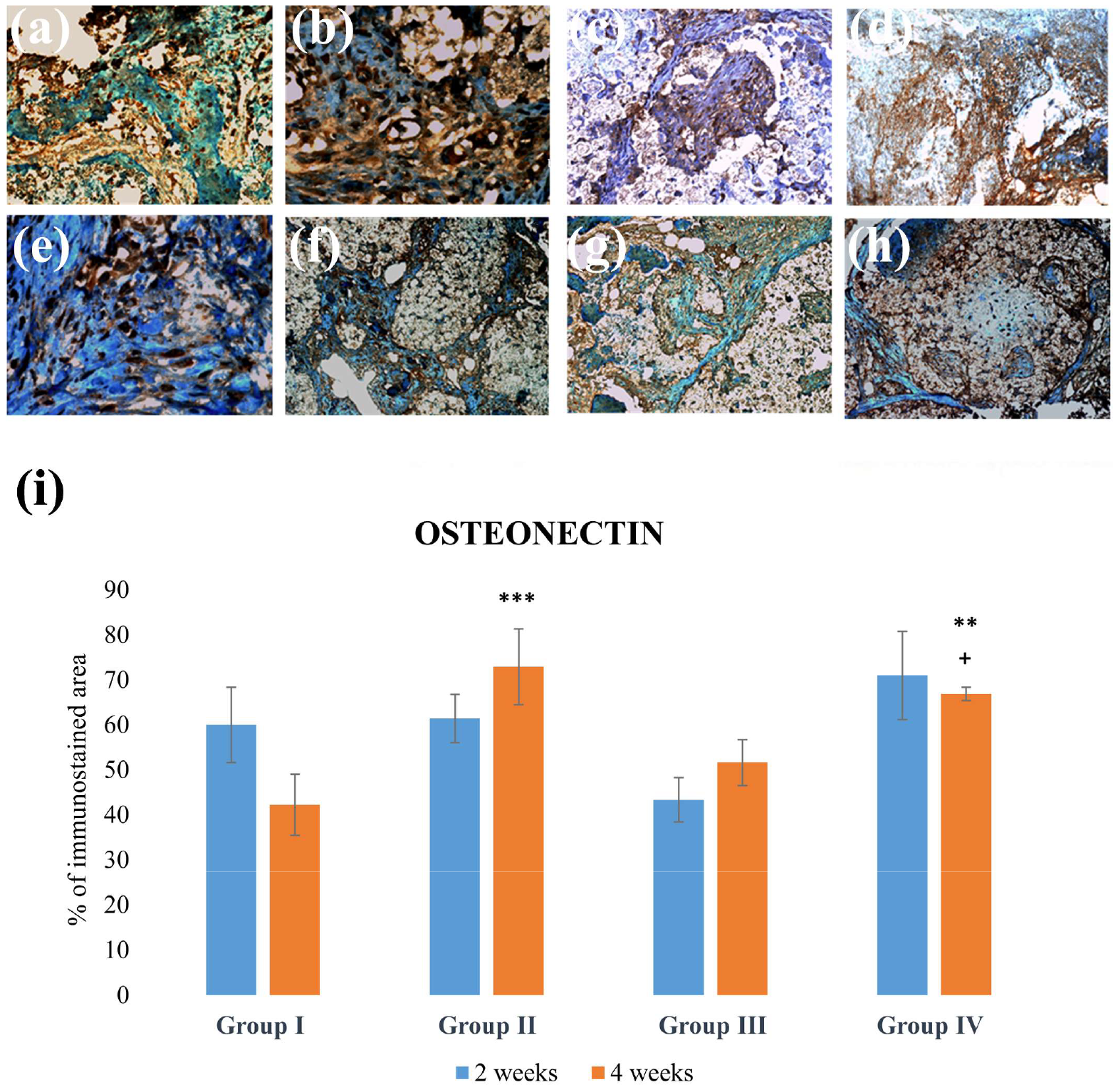 Applsci 14 00016 g007