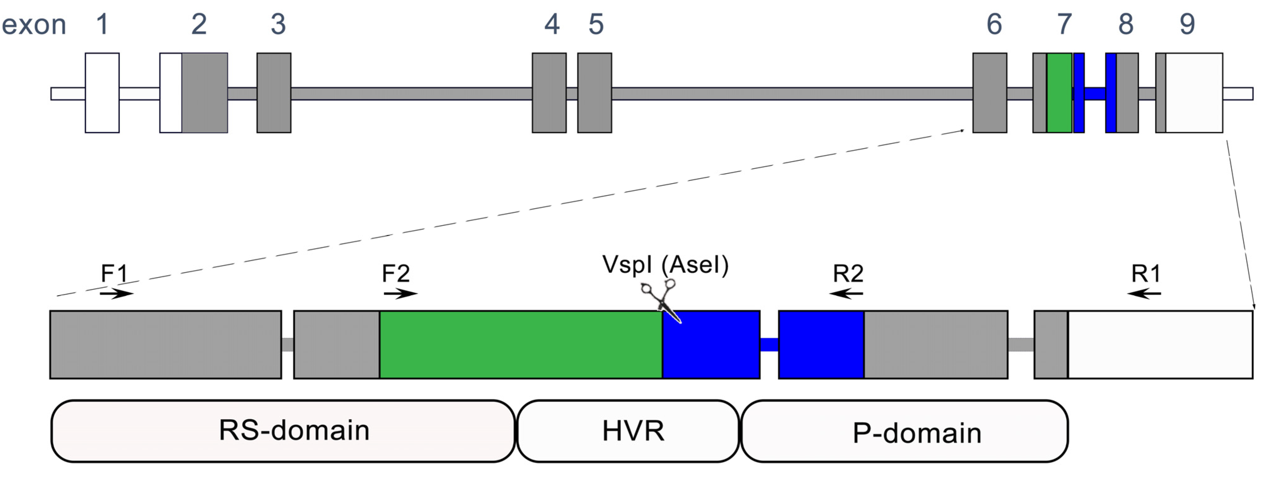 Applsci 14 00026 g001