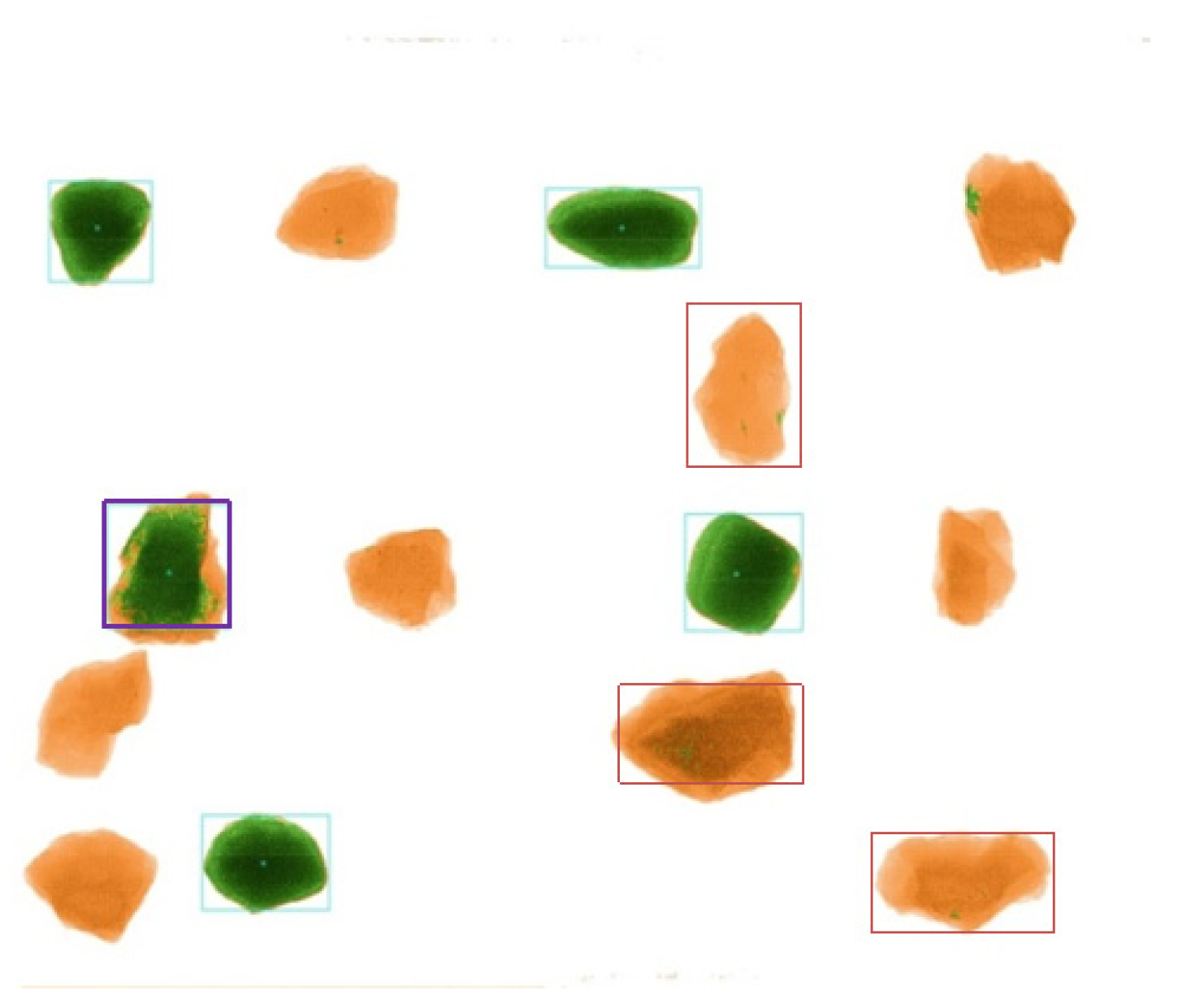 Applsci 14 00098 g002 Applsci 14 00098 g002