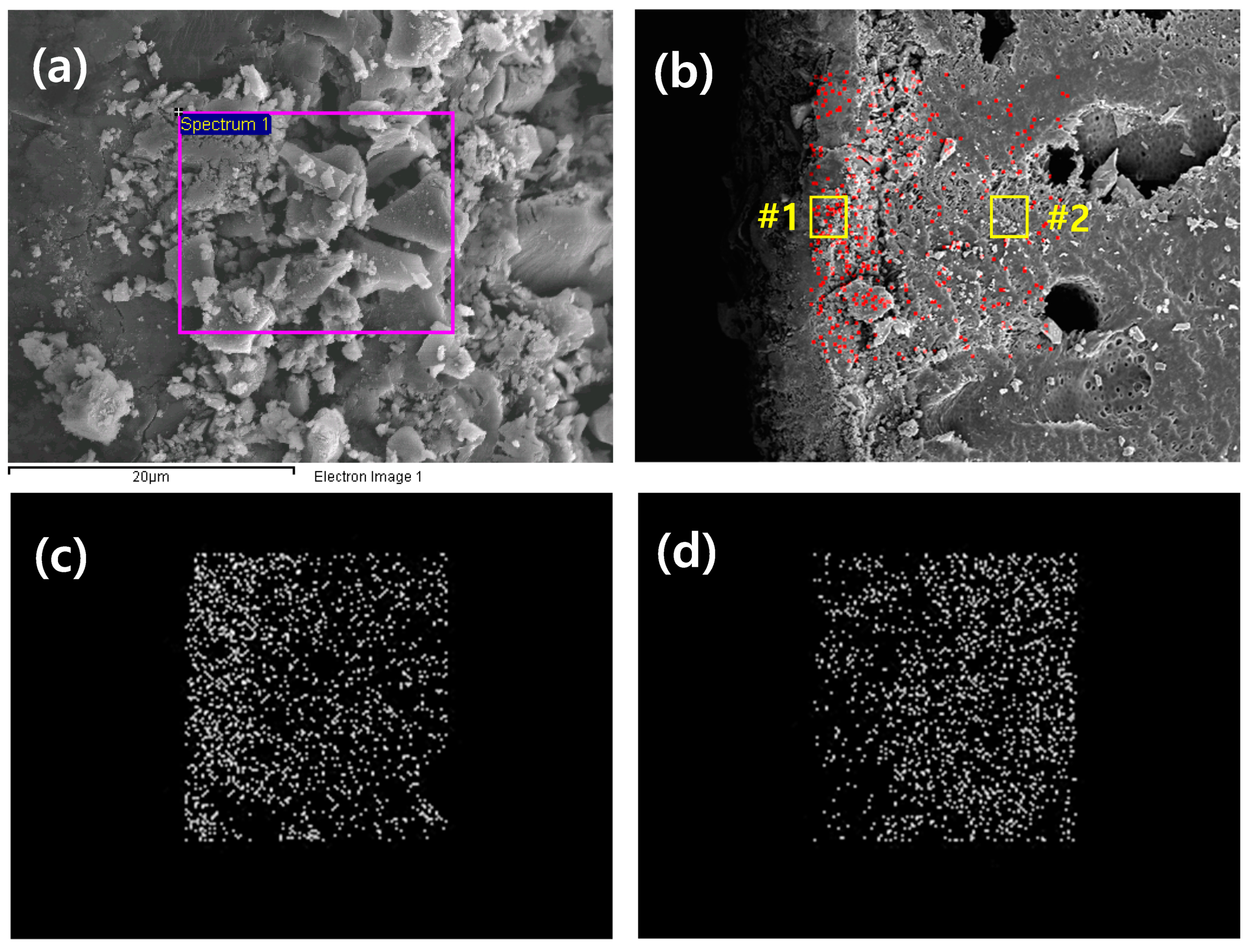 Applsci 14 00146 g005