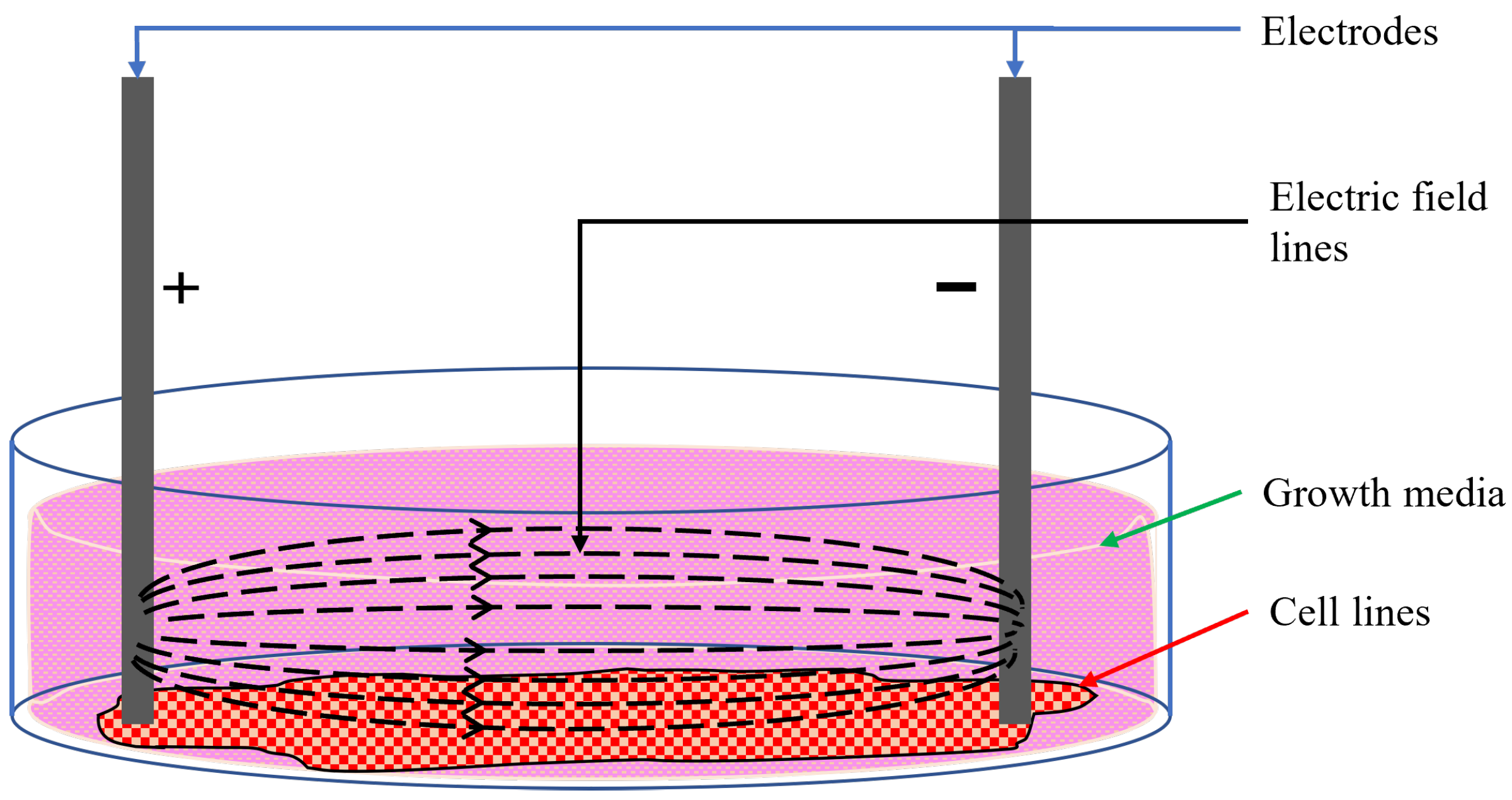 Applsci 14 00162 g001