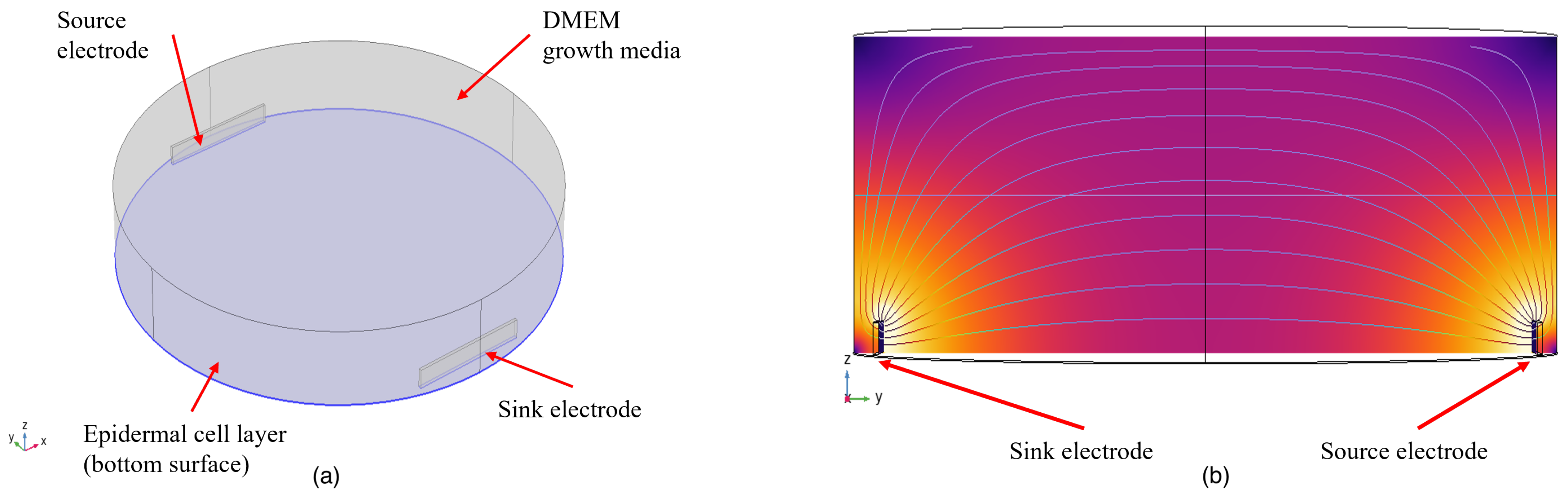 Applsci 14 00162 g003