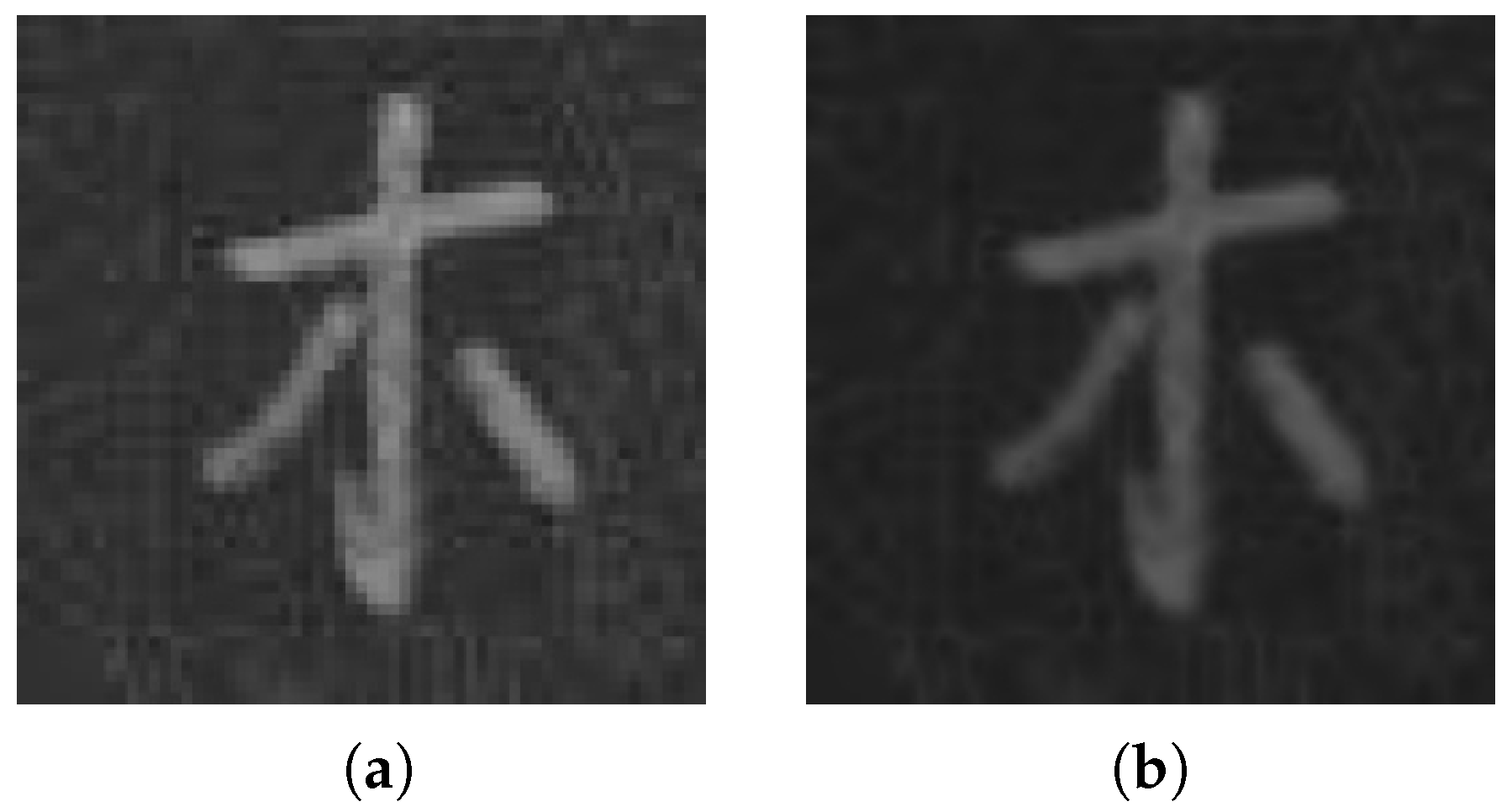 Applsci 14 00225 g001