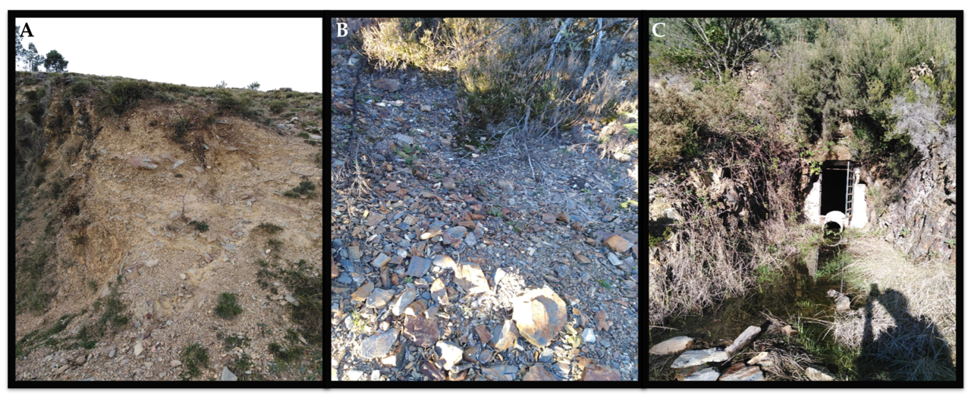 Applsci 14 00226 g001