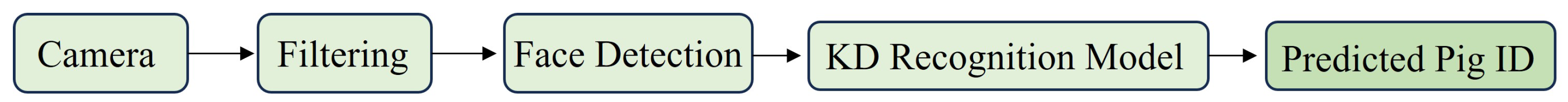 Applsci 14 00259 g002