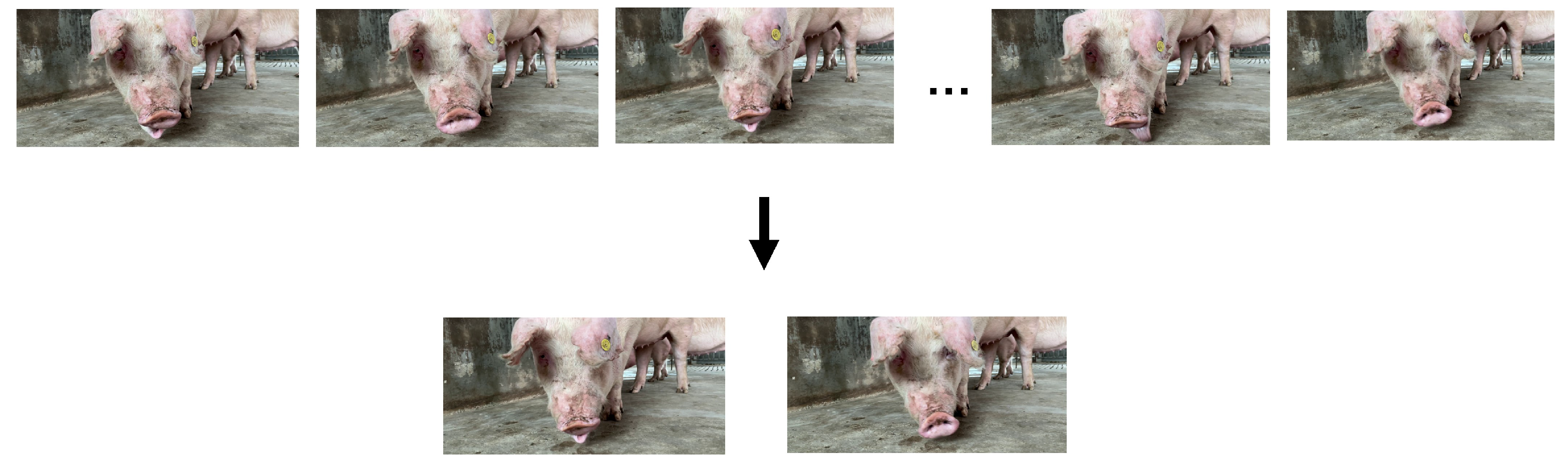 Applsci 14 00259 g004