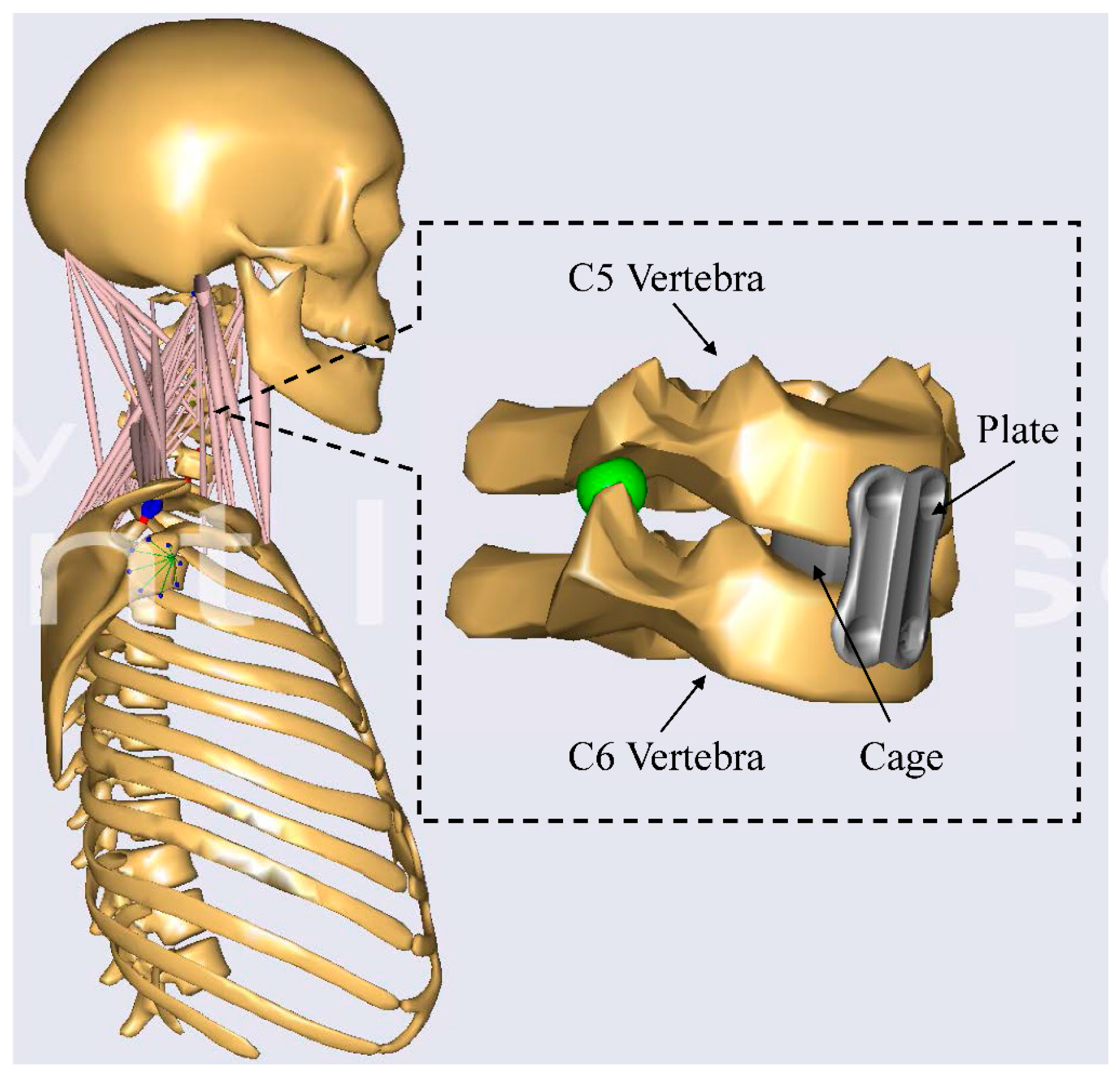 Applsci 14 00261 g001