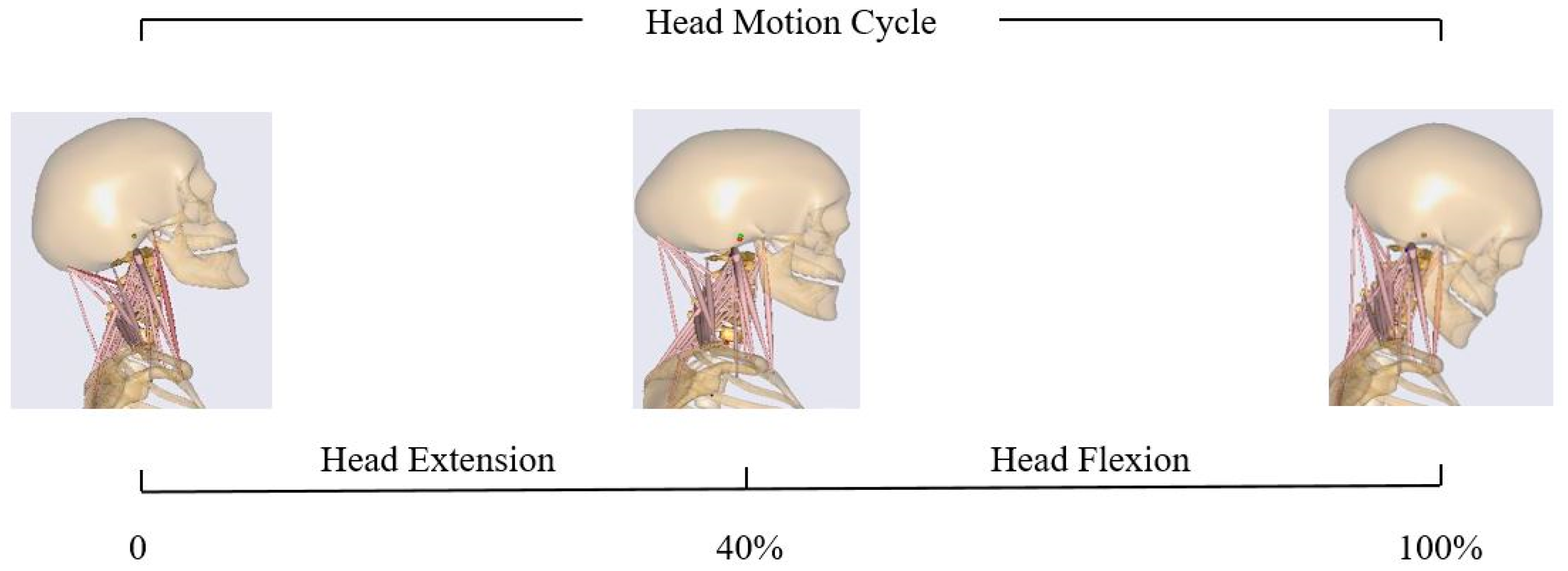 Applsci 14 00261 g002