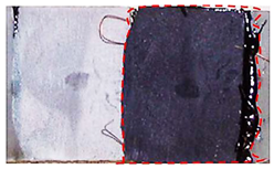 Applsci 14 00271 i006