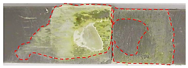 Applsci 14 00271 i010