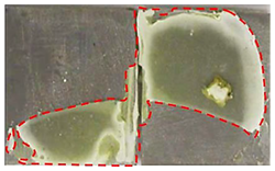 Applsci 14 00271 i022