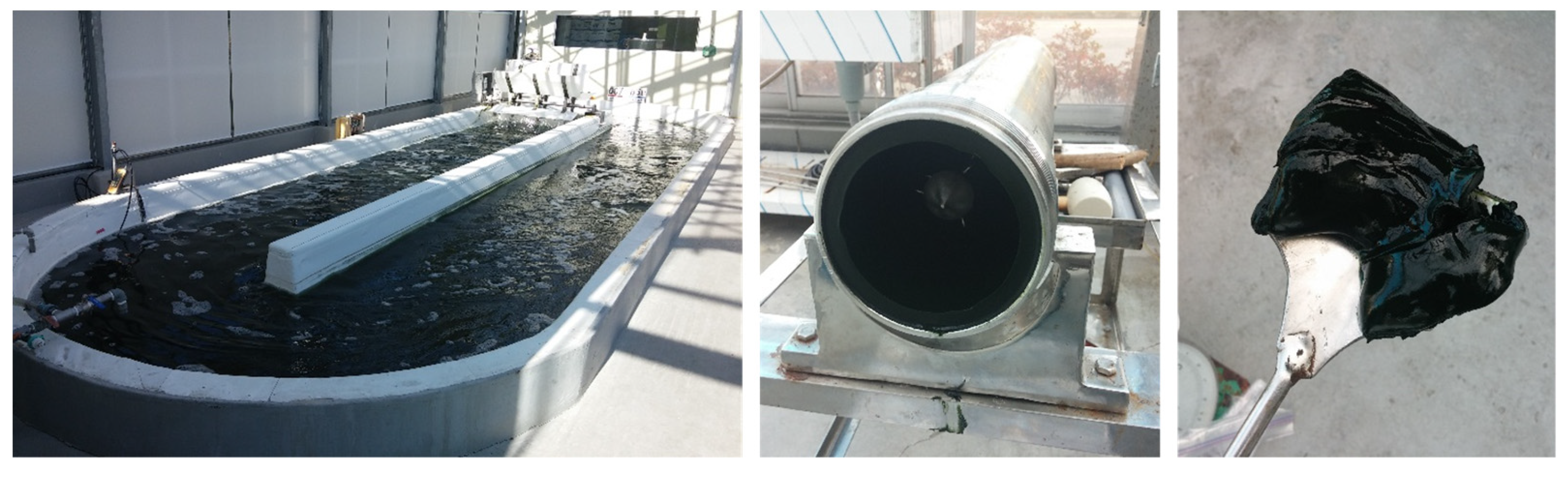 Applsci 14 00282 g001 Applsci 14 00282 g001