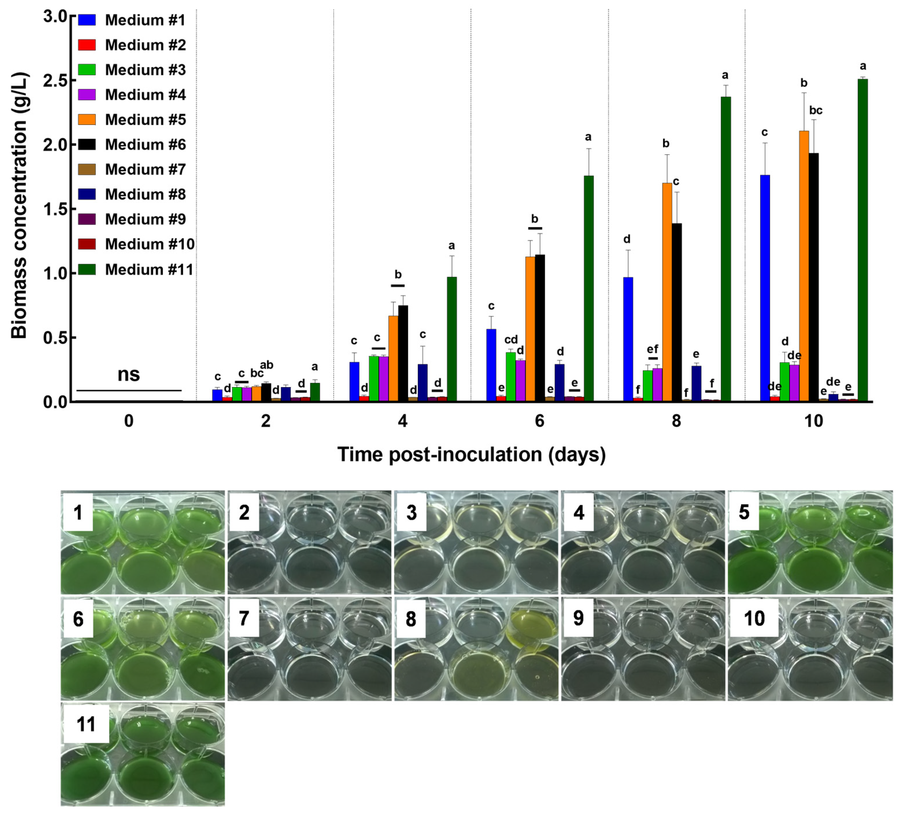 Applsci 14 00282 g002 Applsci 14 00282 g002