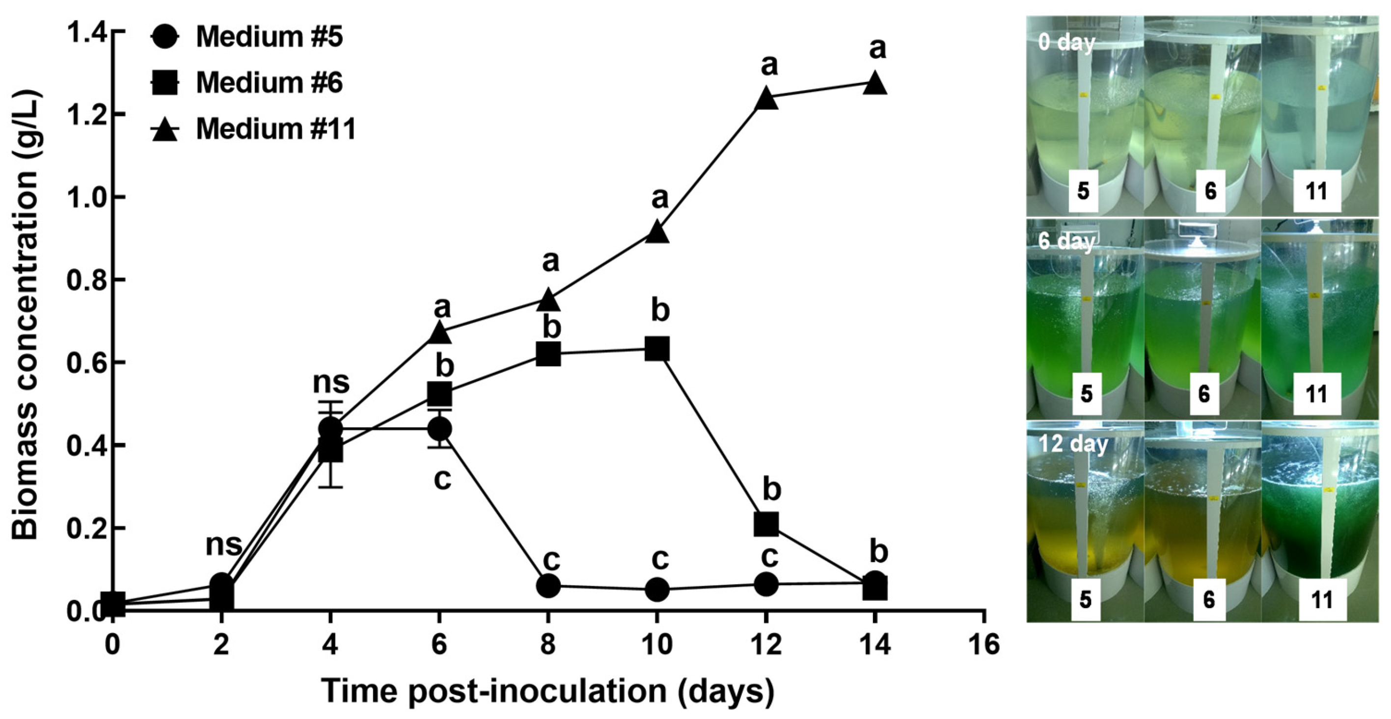 Applsci 14 00282 g004 Applsci 14 00282 g004