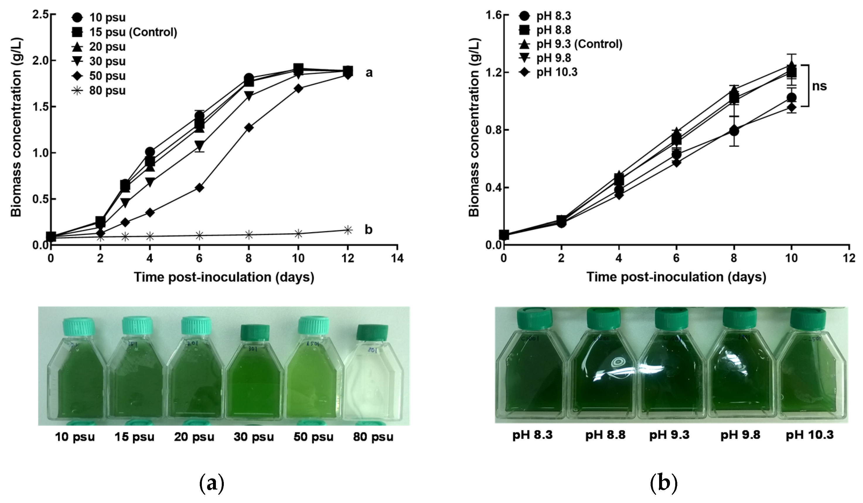 Applsci 14 00282 g007 Applsci 14 00282 g007