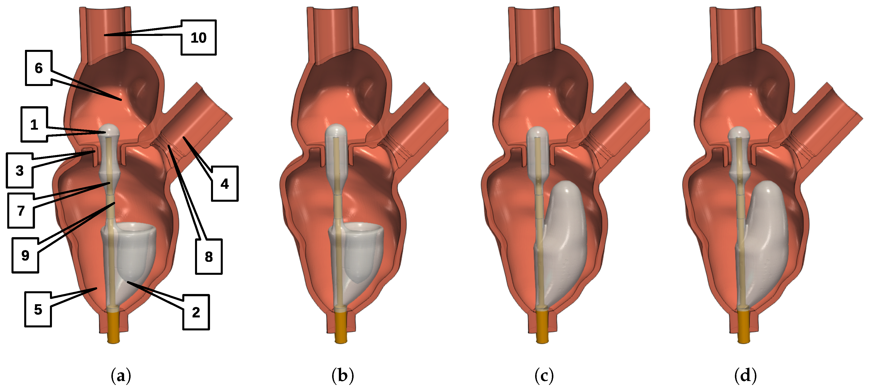 Applsci 14 00284 g001 Applsci 14 00284 g001