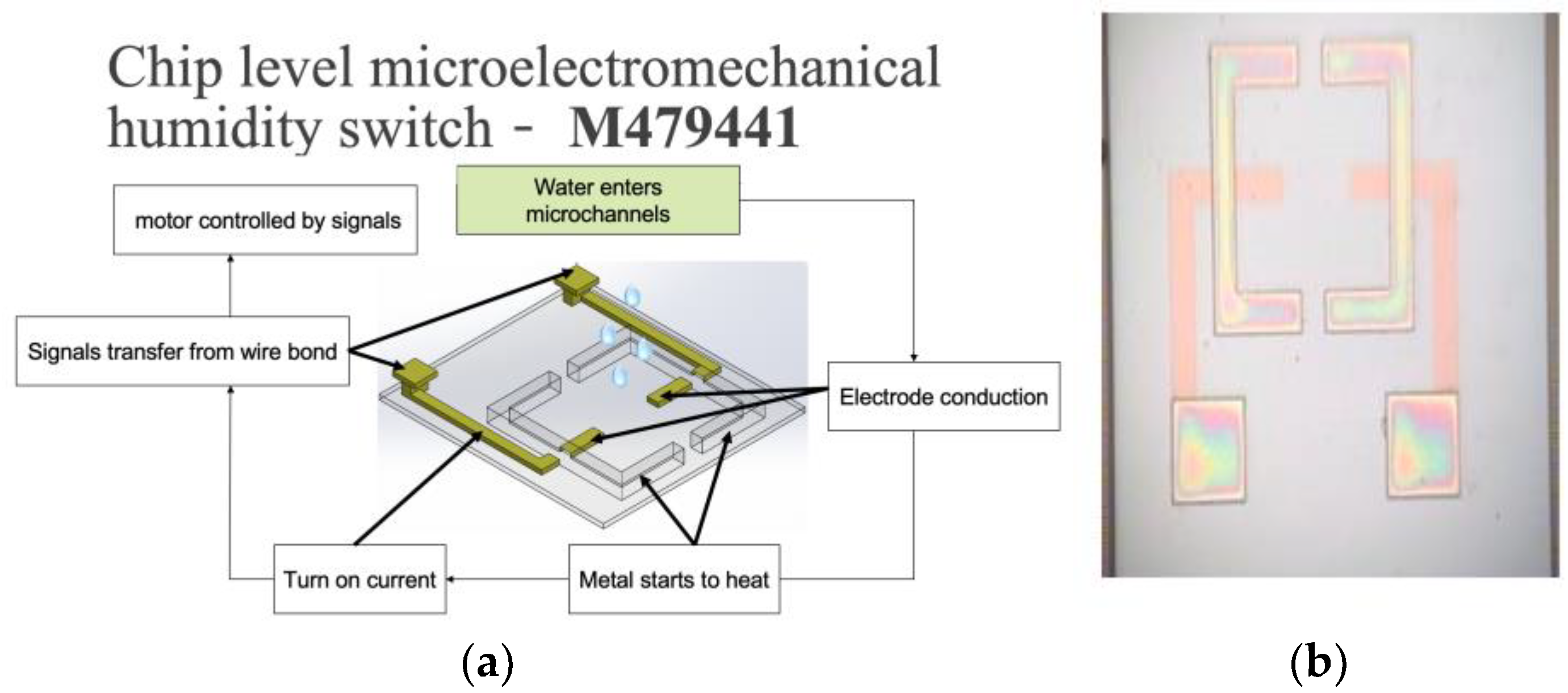Applsci 14 00326 g001