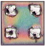 Applsci 14 00326 i003