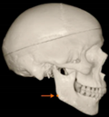 Applsci 14 00347 i013