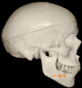 Applsci 14 00347 i021