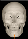 Applsci 14 00347 i029