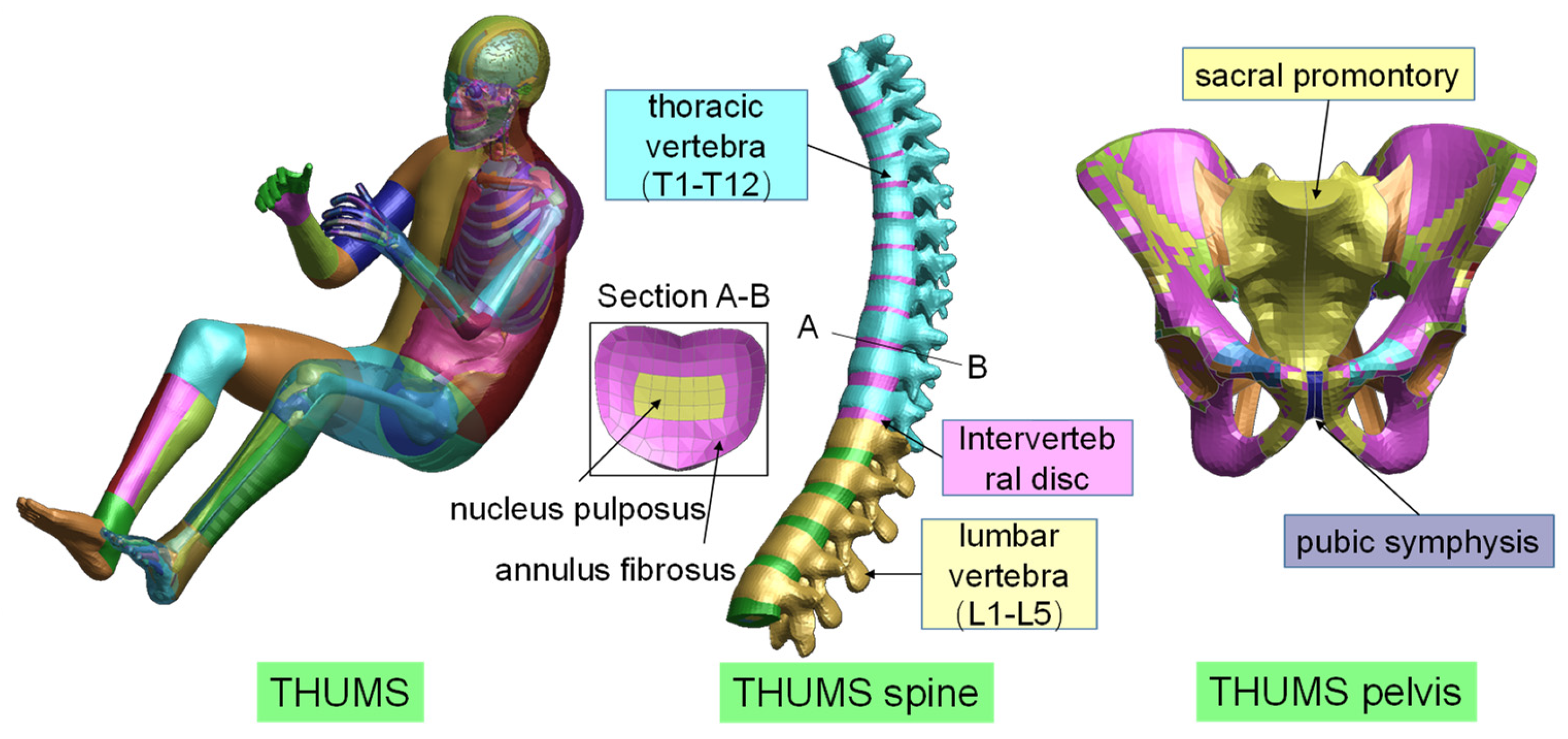 Applsci 14 00349 g001