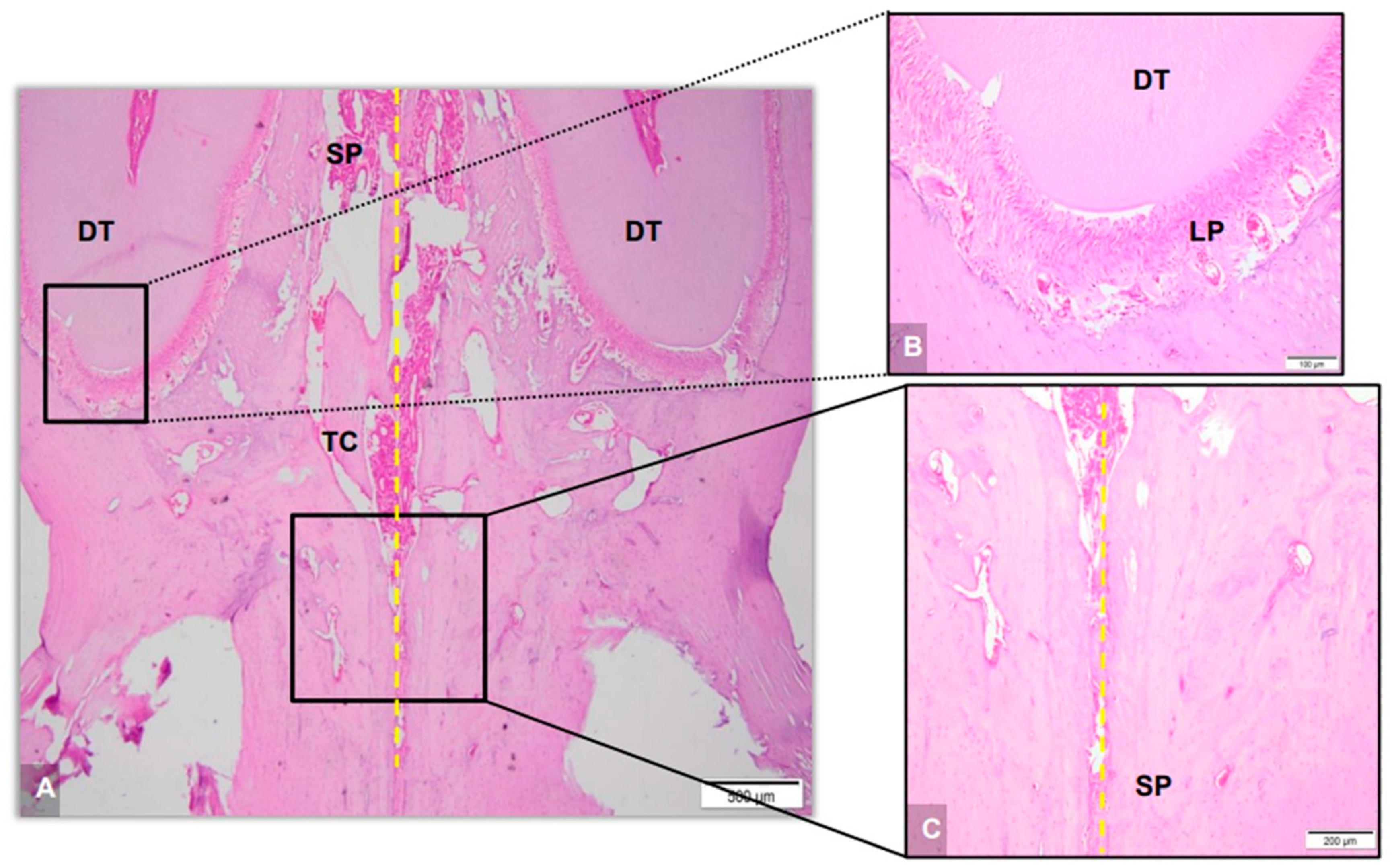 Applsci 14 00430 g008