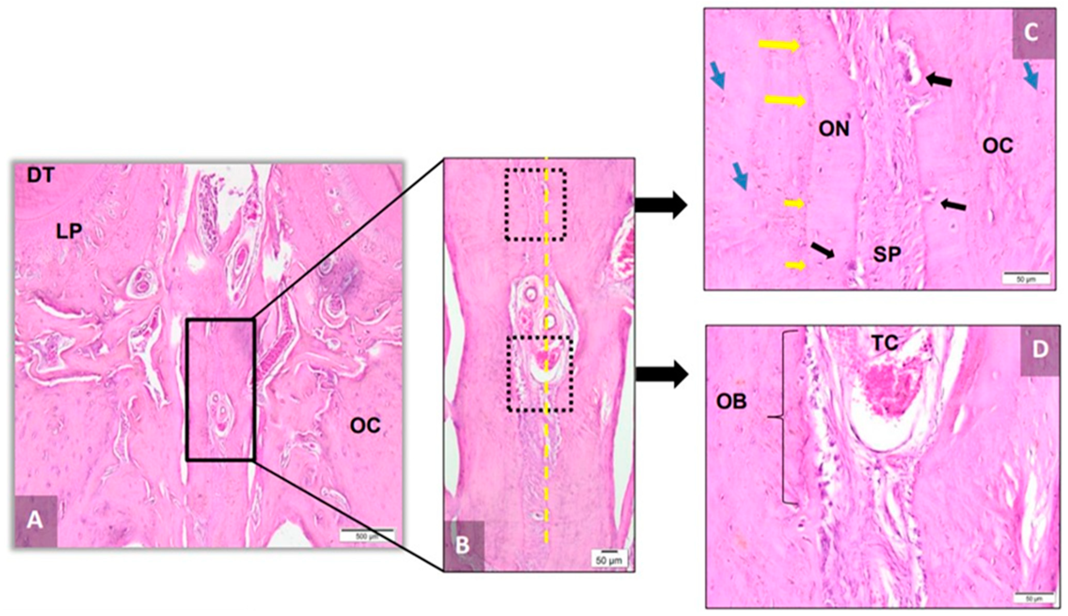Applsci 14 00430 g009