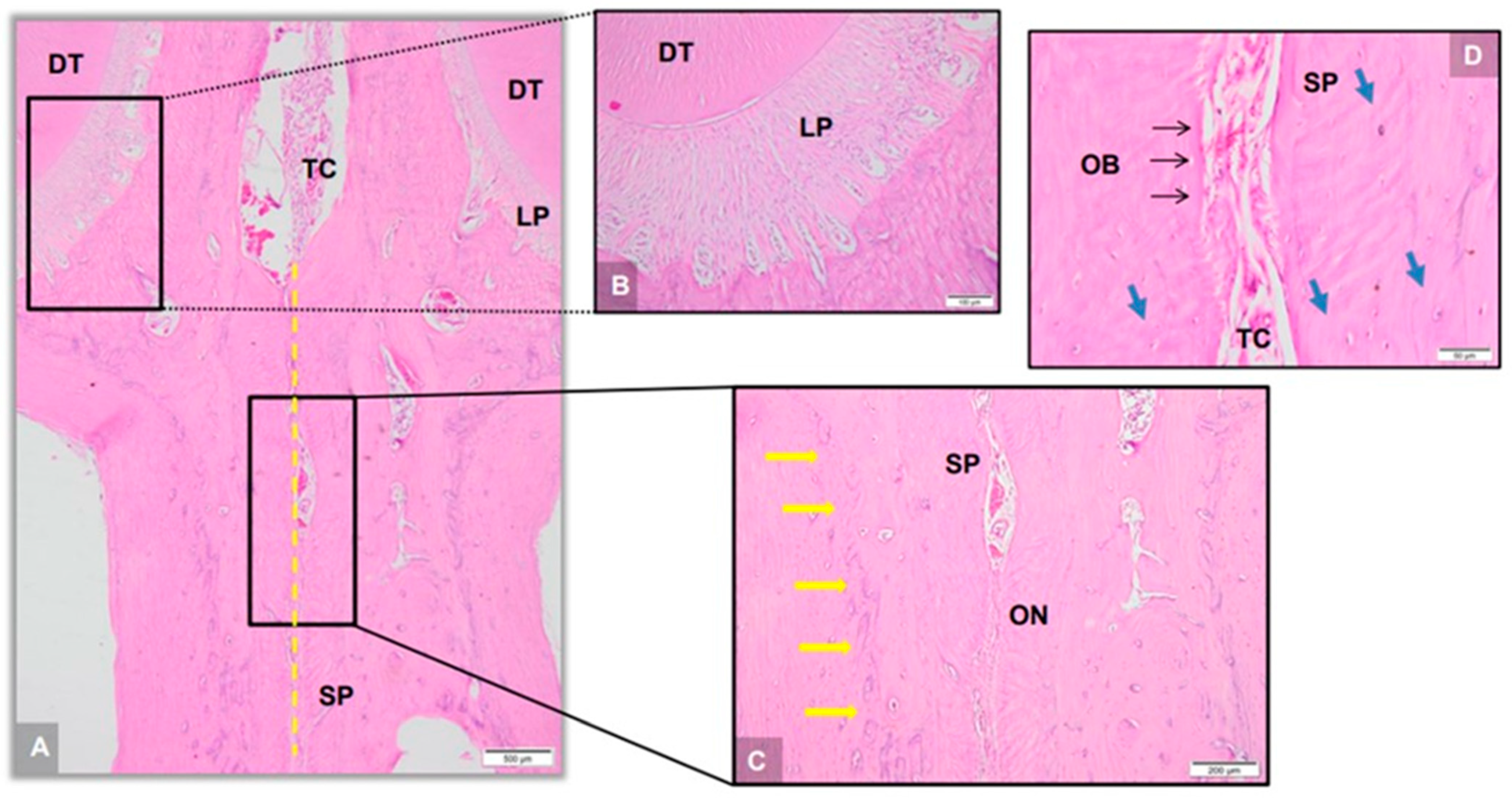 Applsci 14 00430 g010