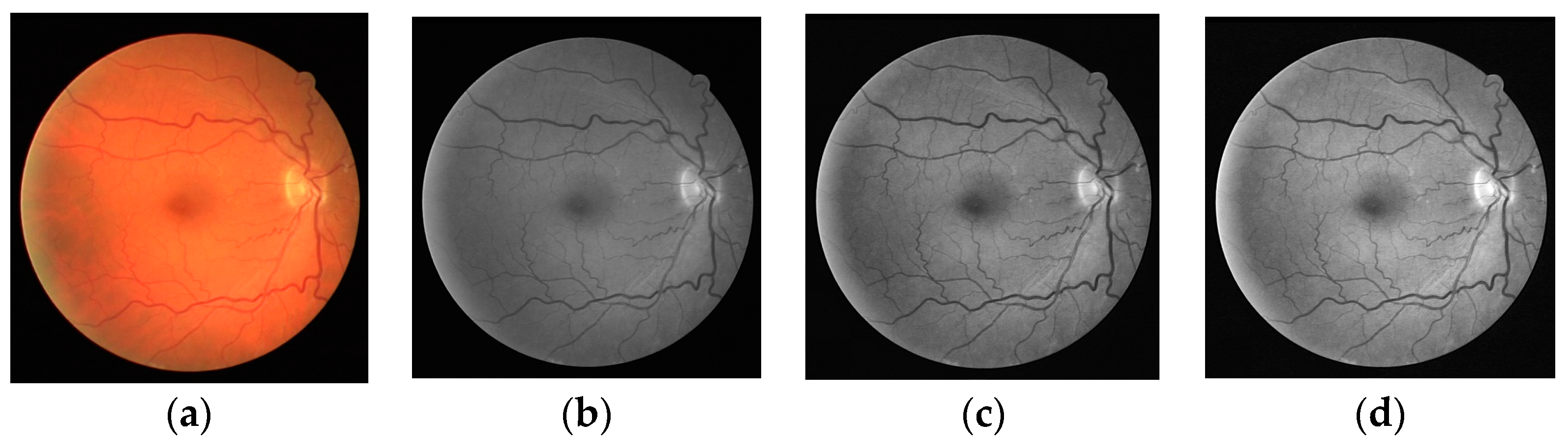 Applsci 14 00465 g005